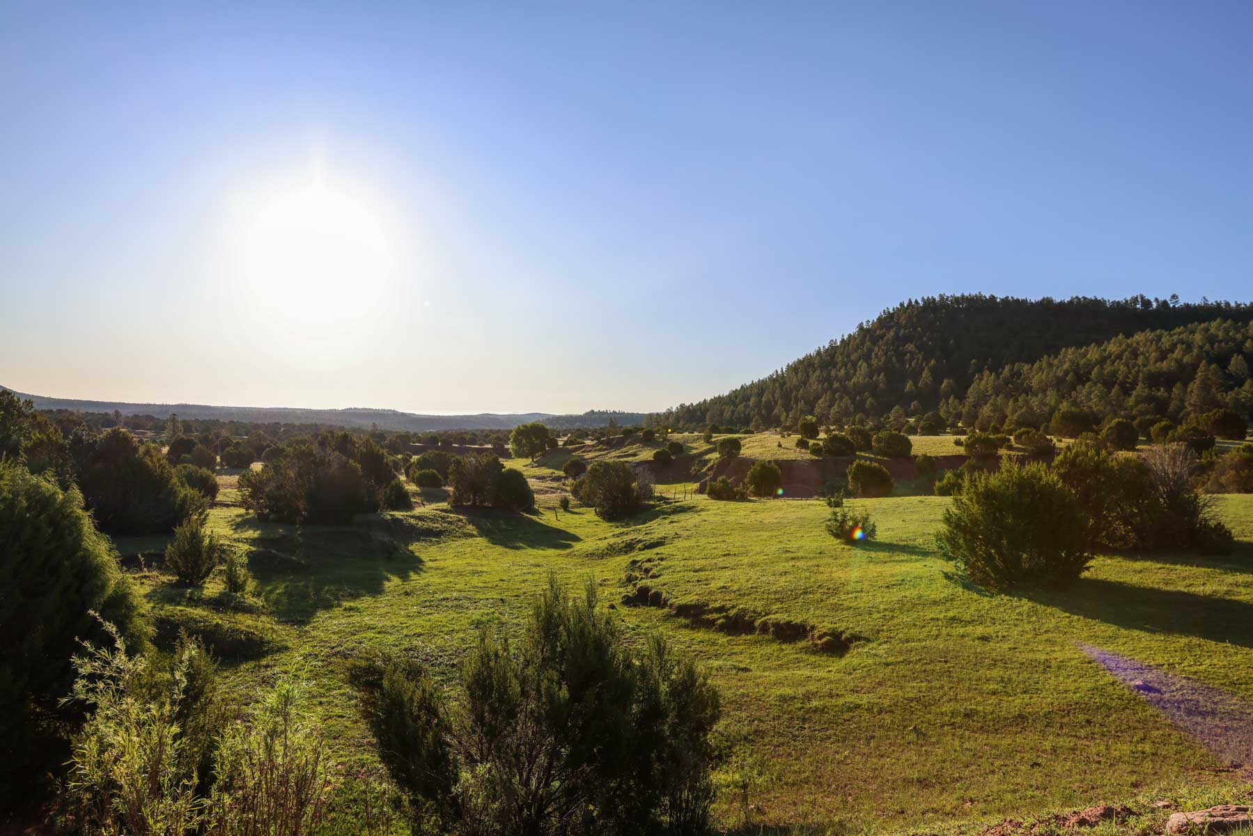 Land of Enchantment Ranch property picture 69 of 81