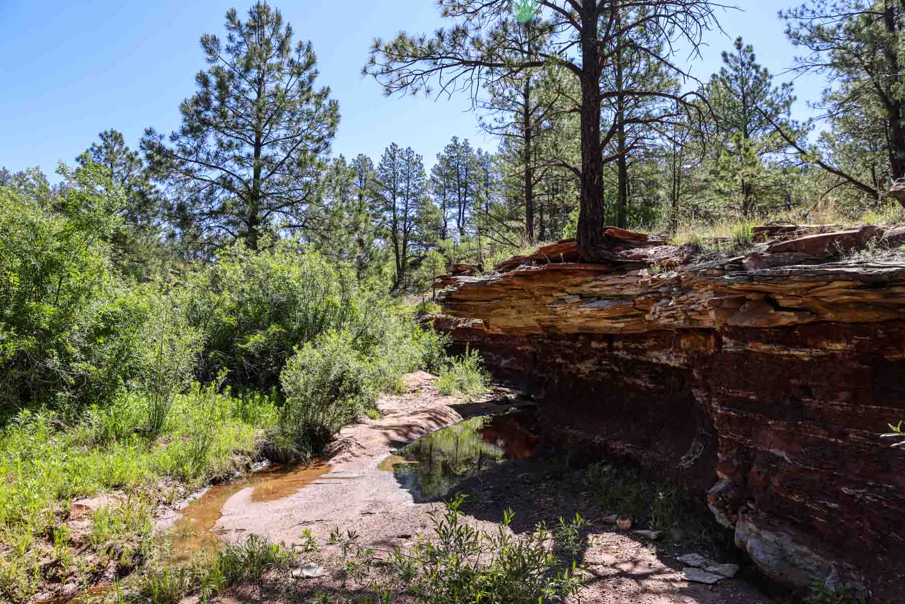 Land of Enchantment Ranch property picture 57 of 81