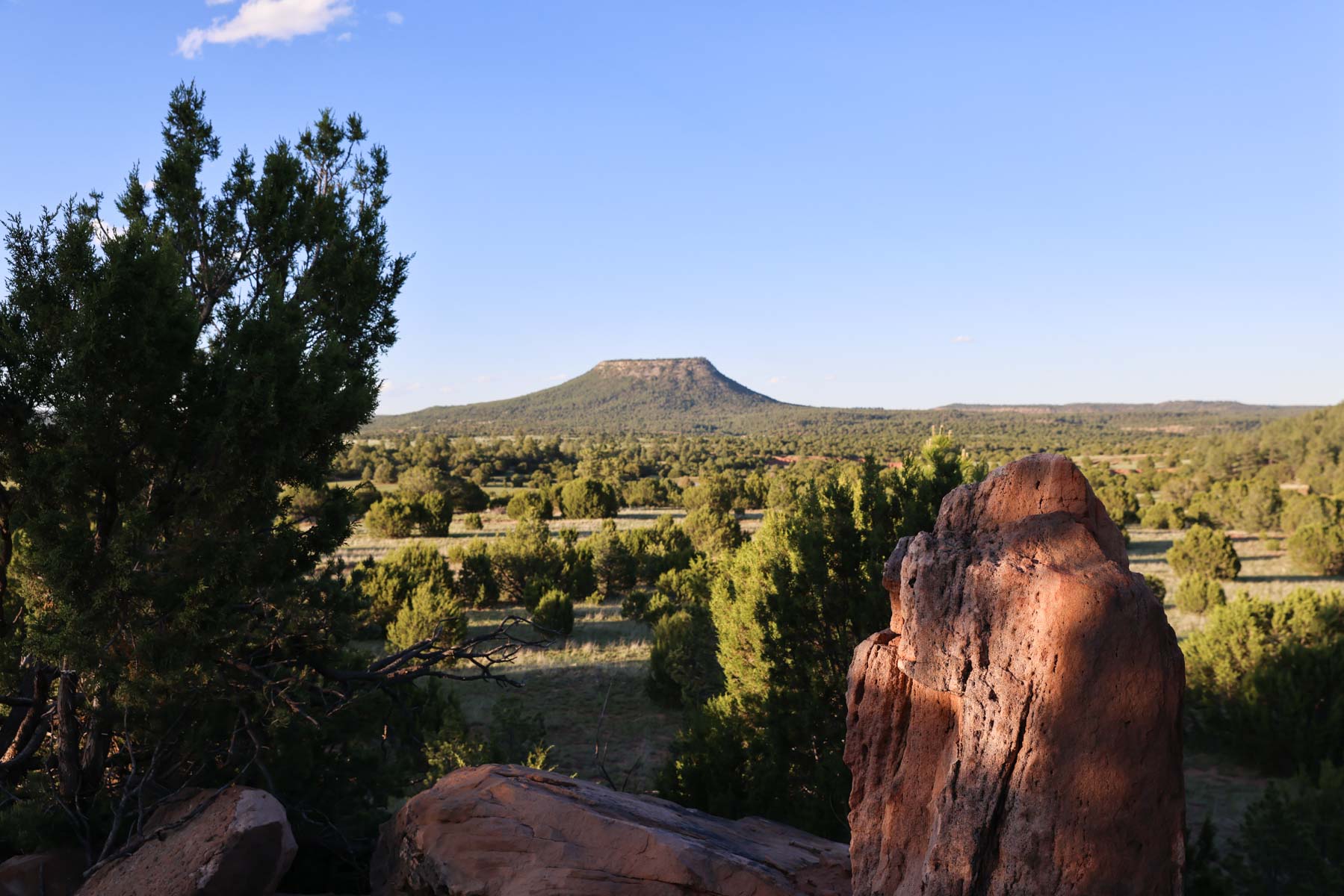 Land of Enchantment Ranch property picture 29 of 81