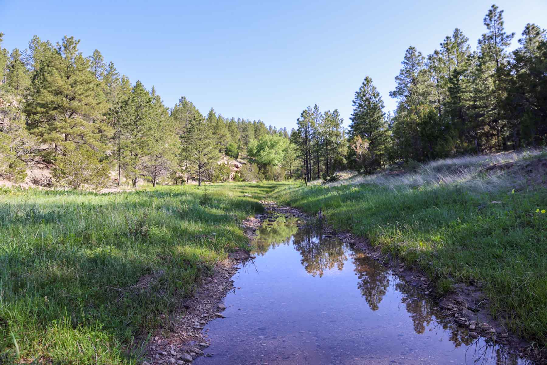 Land of Enchantment Ranch property picture 24 of 81