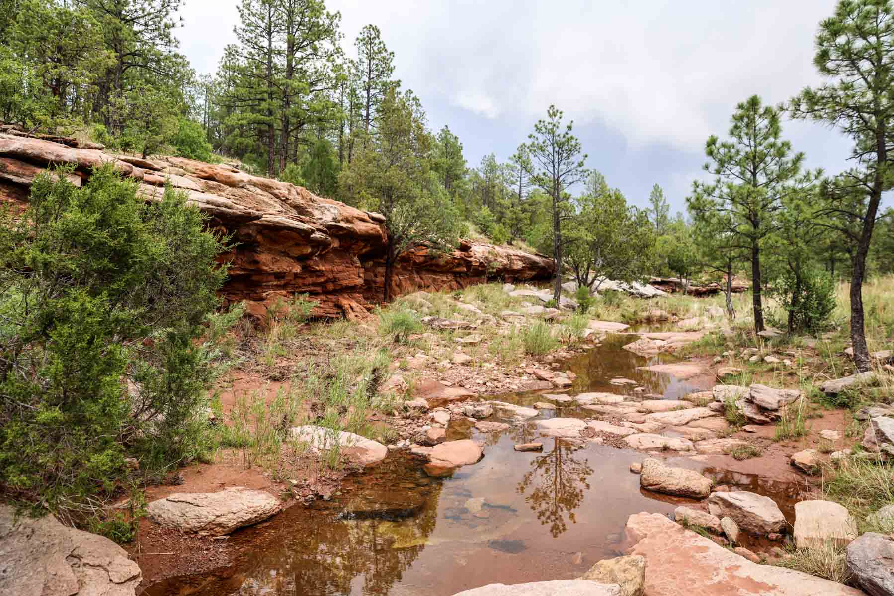 Land of Enchantment Ranch property picture 74 of 81