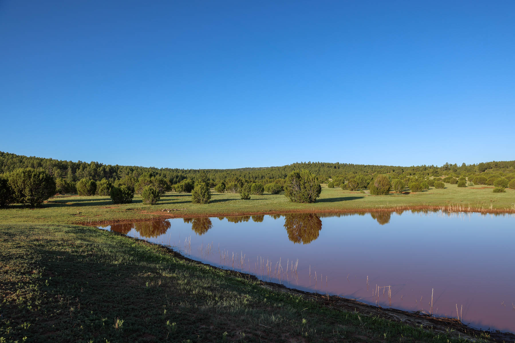 Land of Enchantment Ranch property picture 70 of 81