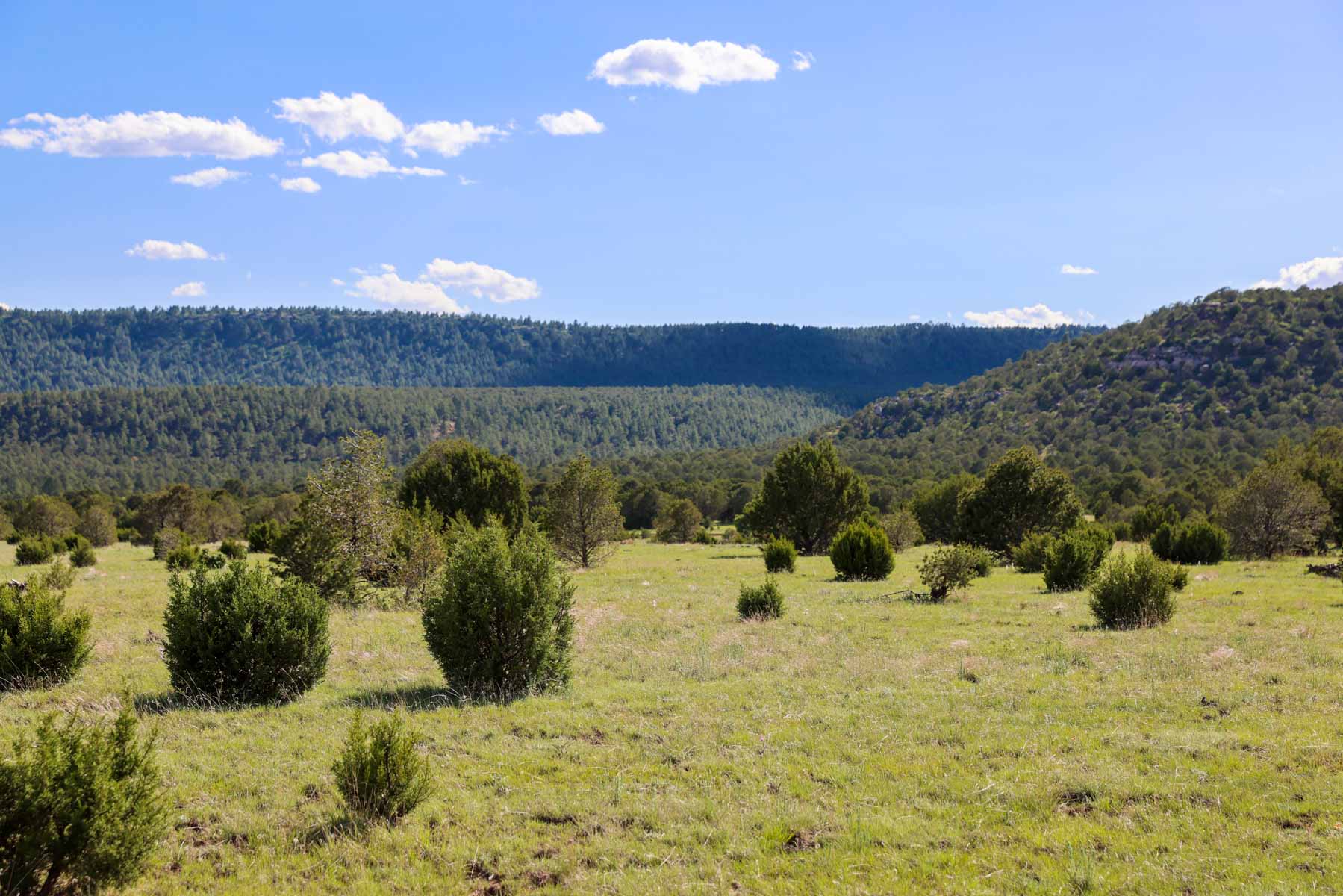 Land of Enchantment Ranch property picture 35 of 81