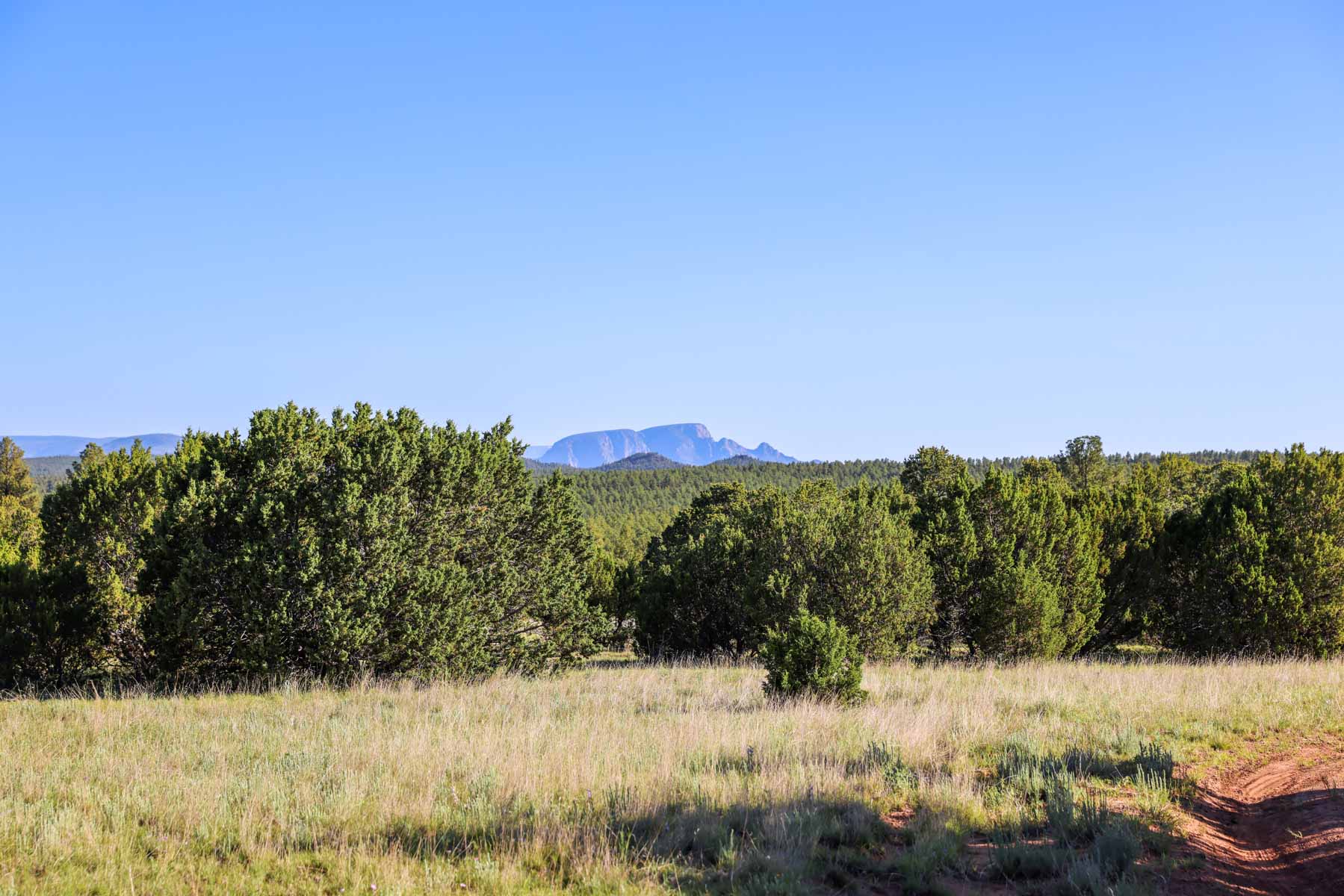 Land of Enchantment Ranch property picture 25 of 81