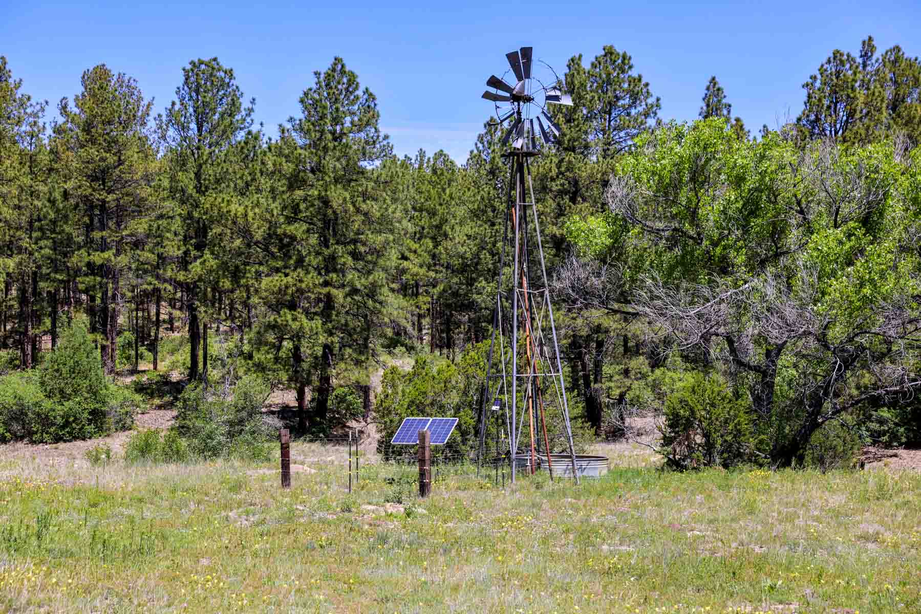 Land of Enchantment Ranch property picture 42 of 81