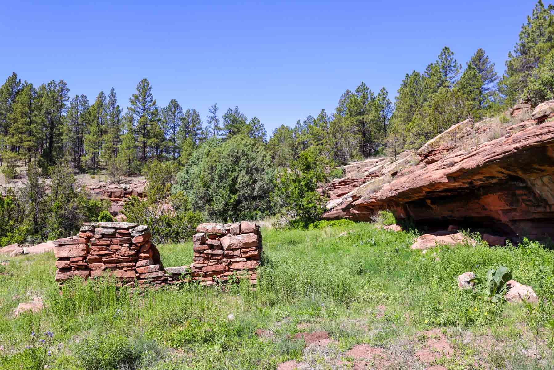 Land of Enchantment Ranch property picture 52 of 81