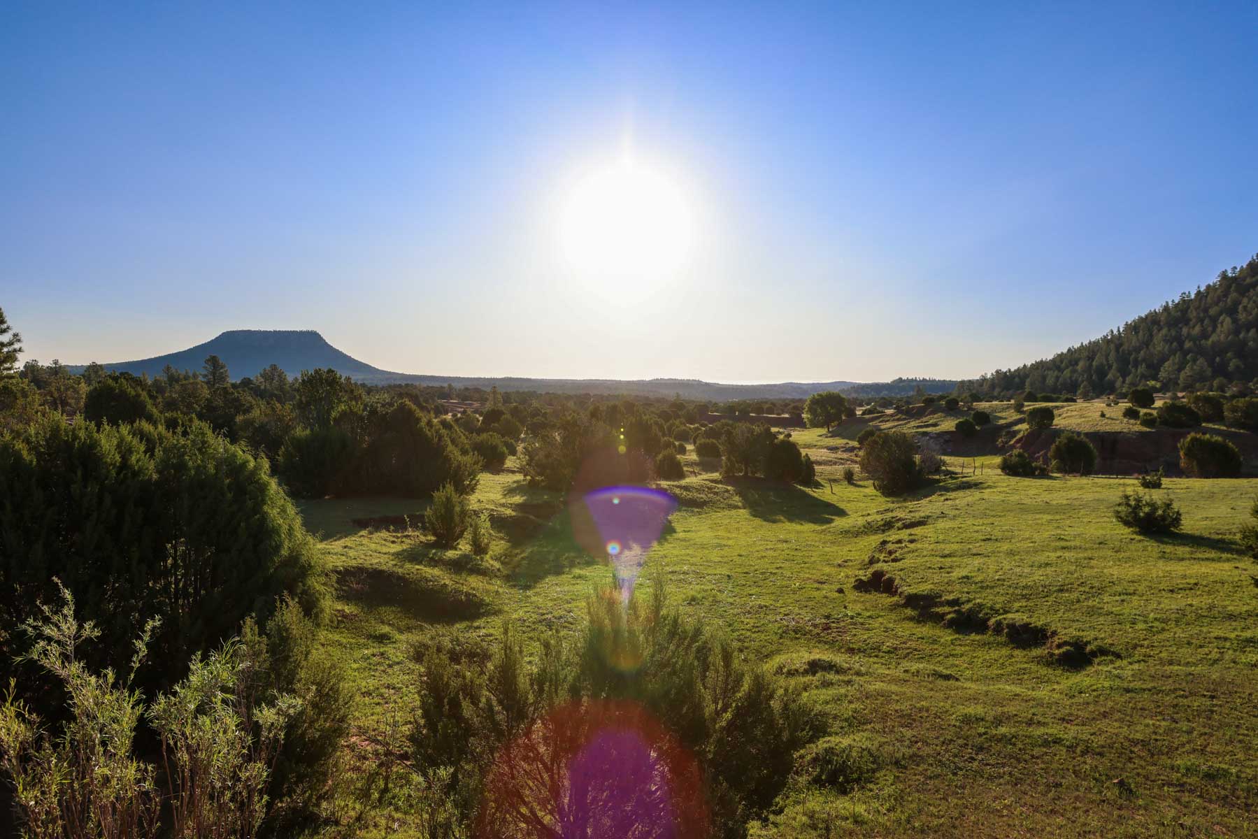 Land of Enchantment Ranch property picture 67 of 81
