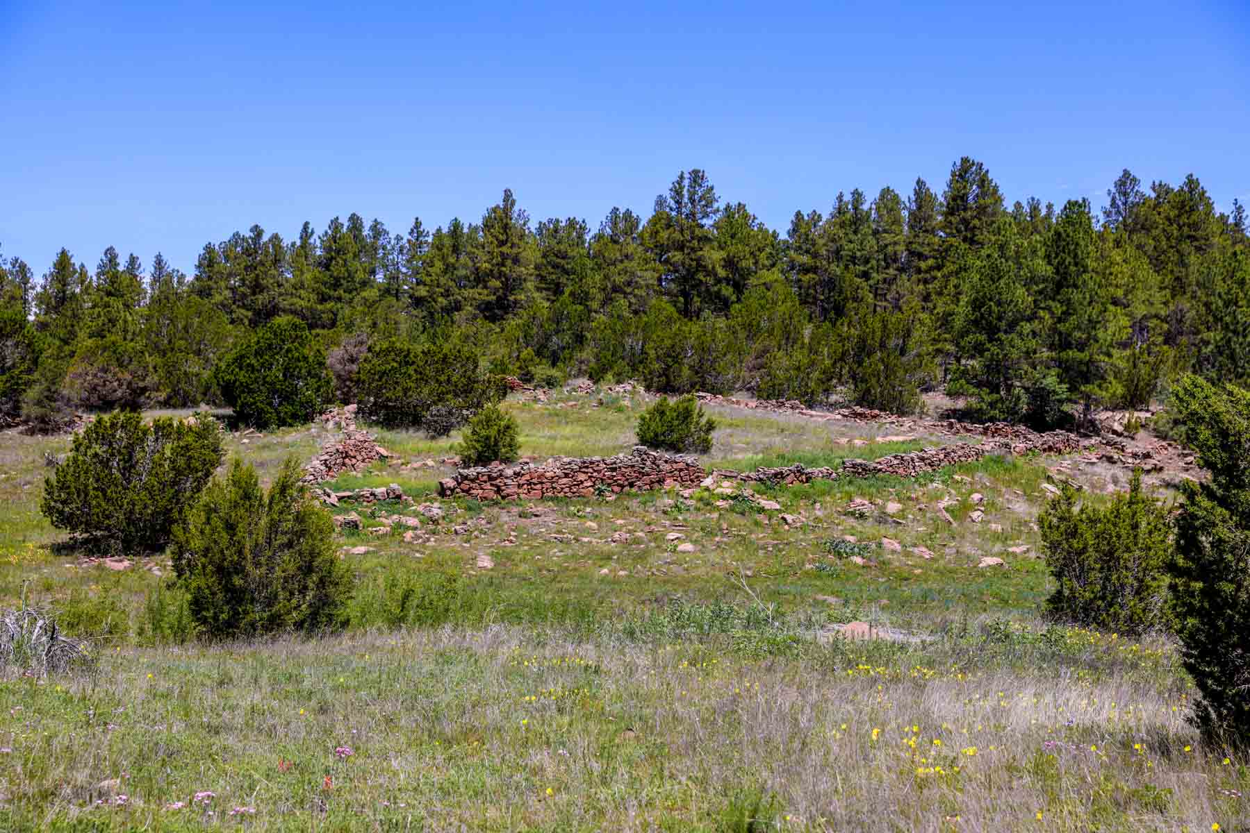 Land of Enchantment Ranch property picture 46 of 81