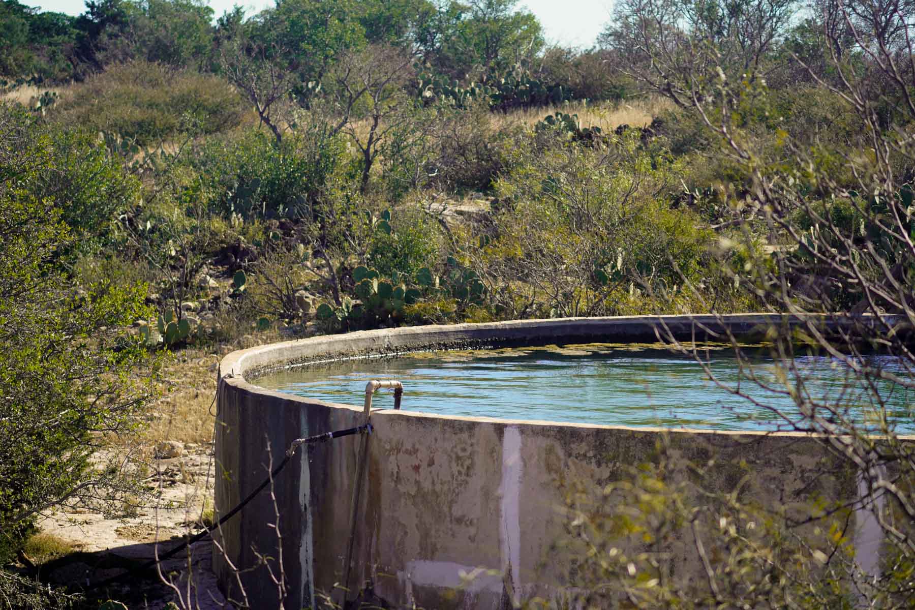 Hackberry Canyon Ranch property picture 3 of 28