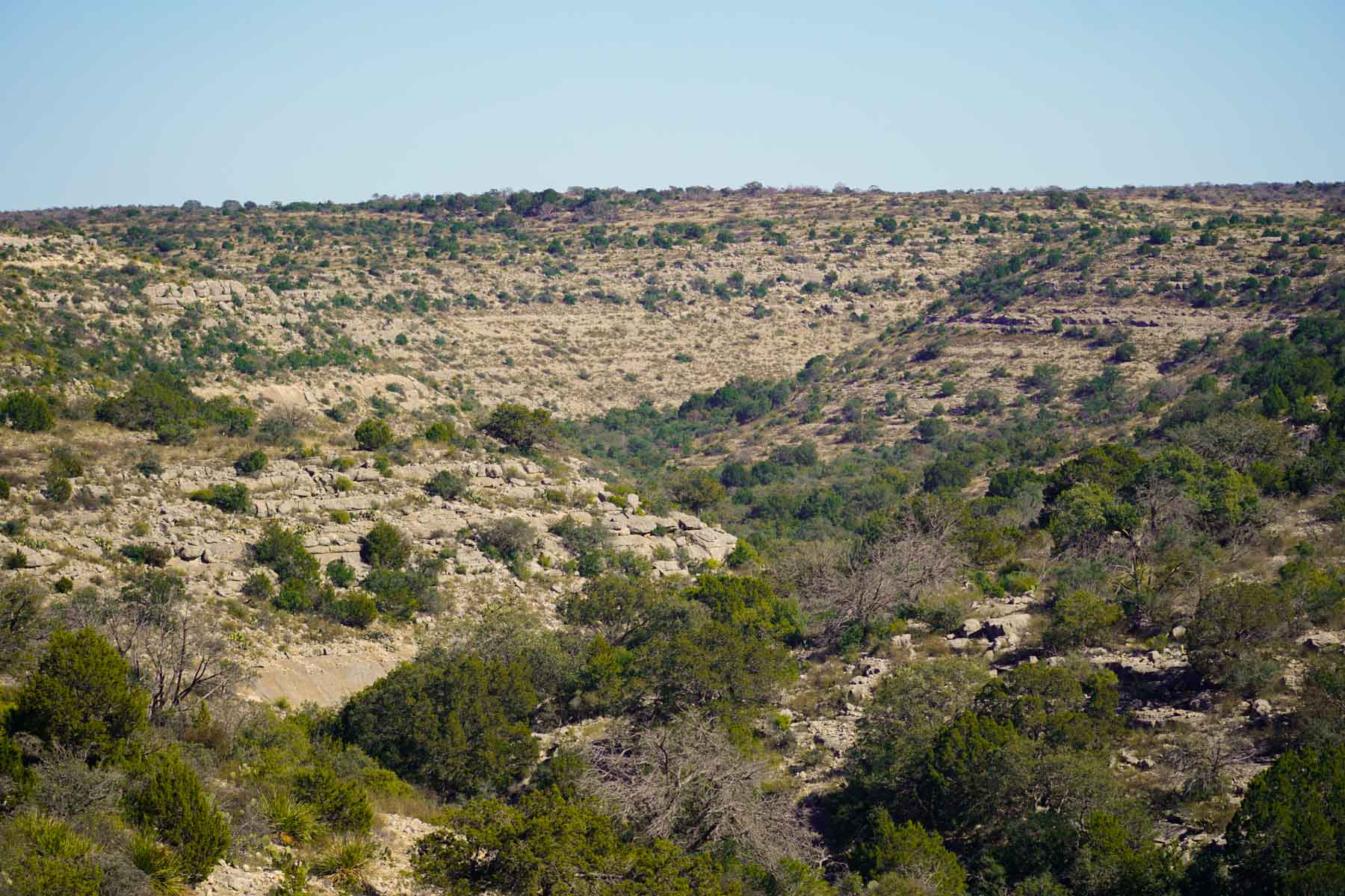 Hackberry Canyon Ranch property picture 5 of 28
