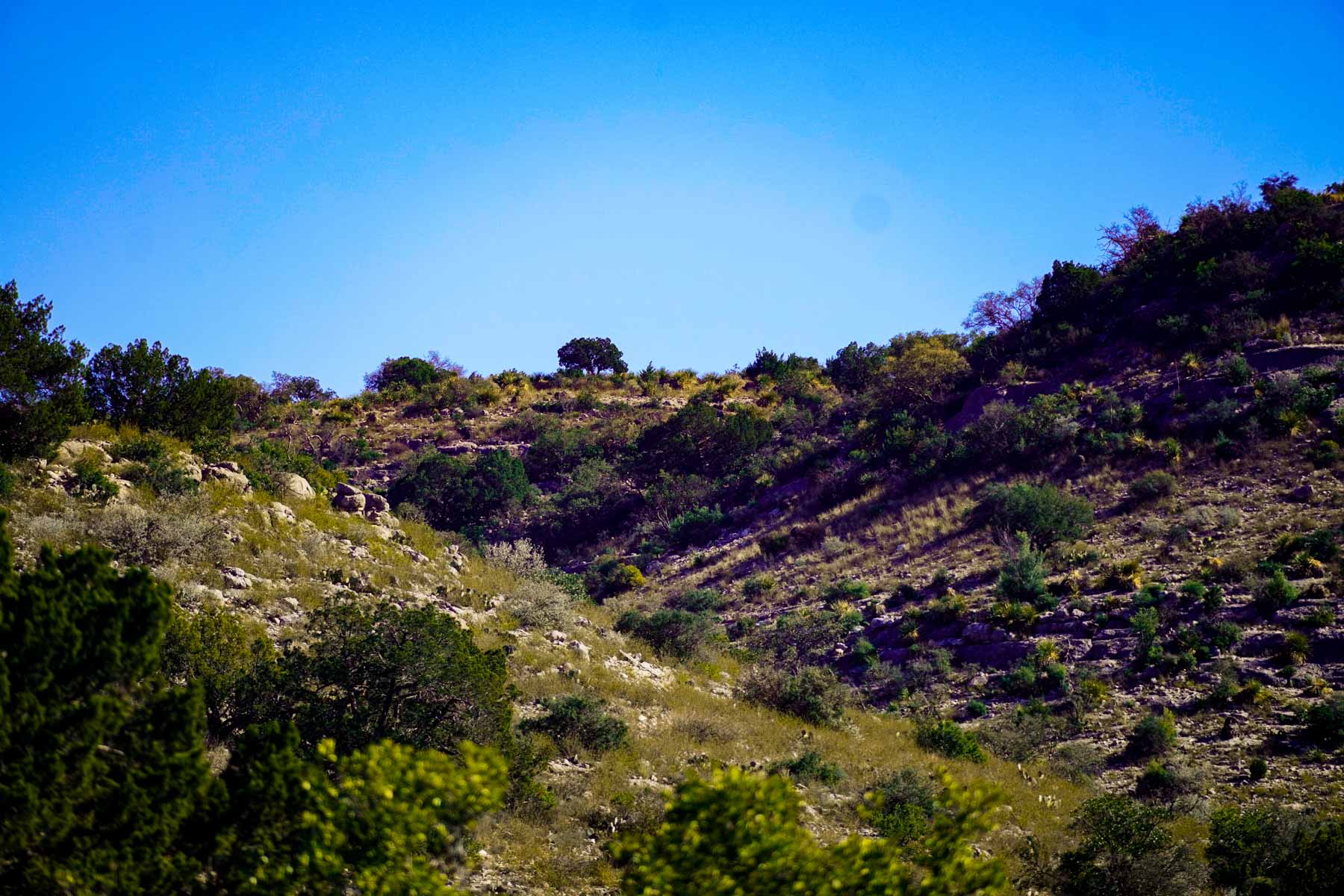 Hackberry Canyon Ranch property picture 19 of 28