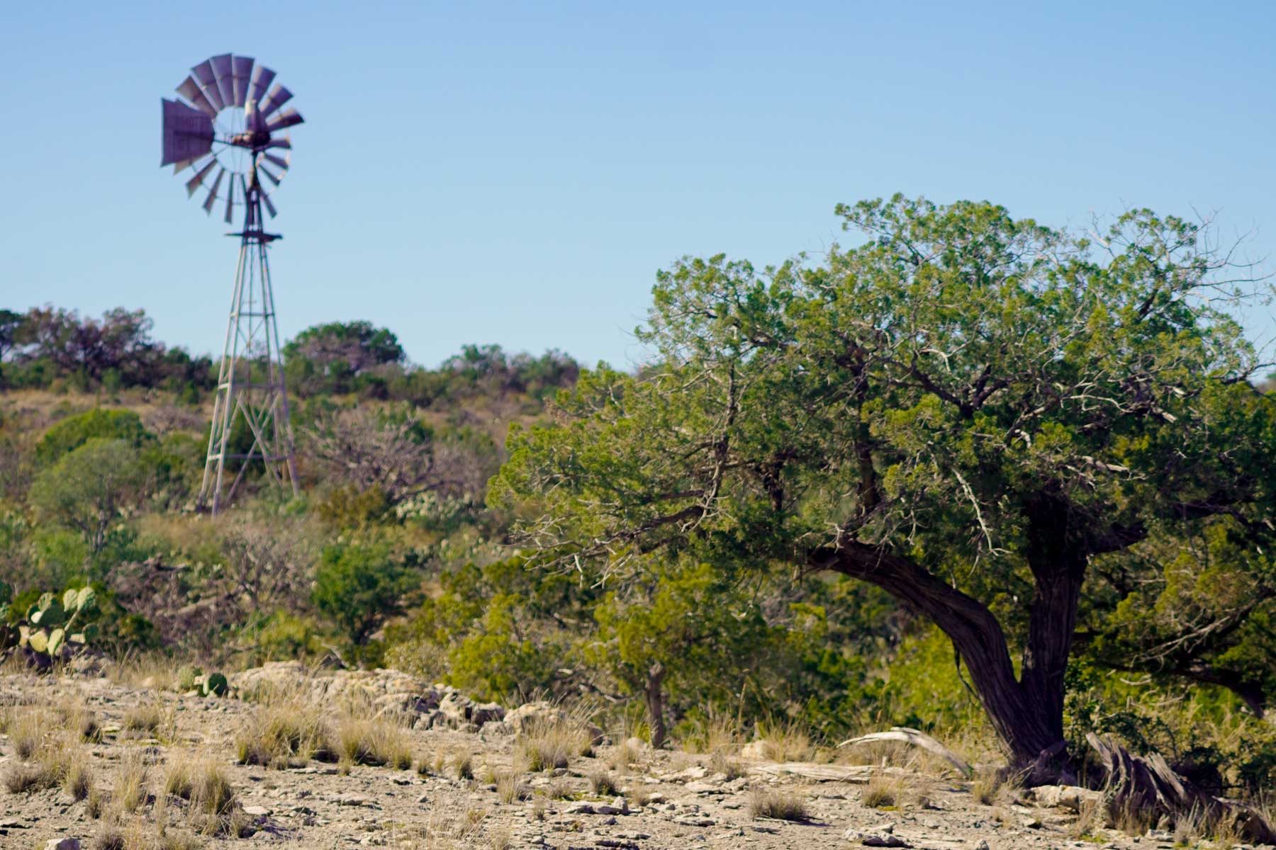 Hackberry Canyon Ranch property picture 8 of 28