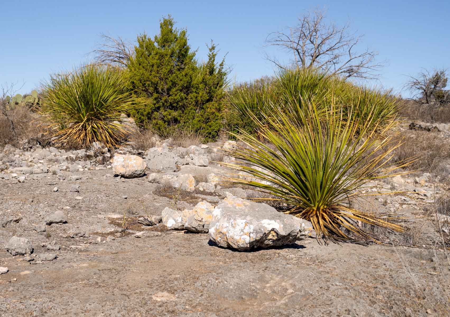 Hackberry Canyon Ranch property picture 24 of 28