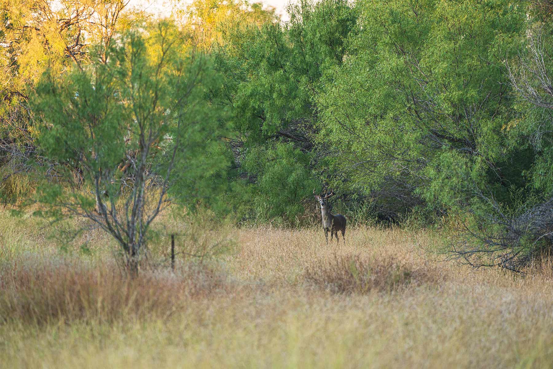 Crawford Farm property picture 65 of 72