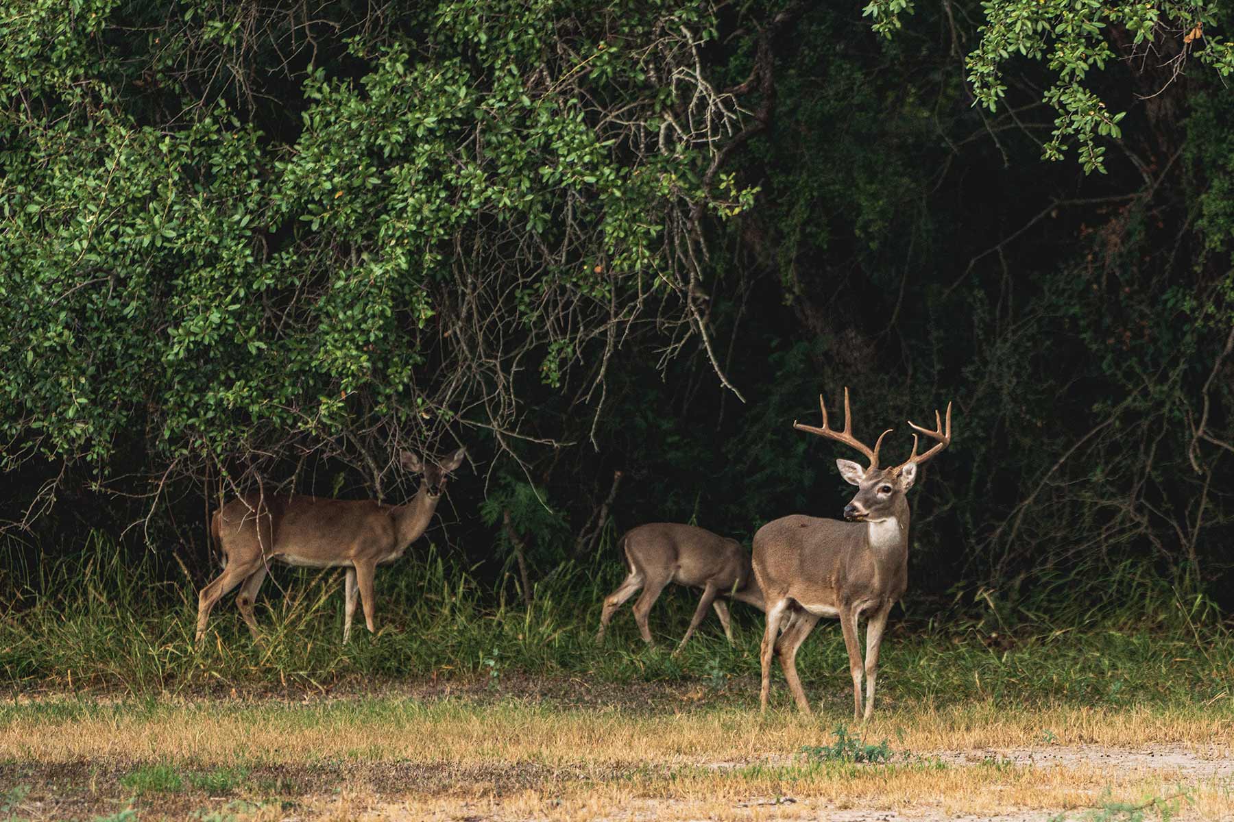 Crawford Farm property picture 57 of 72