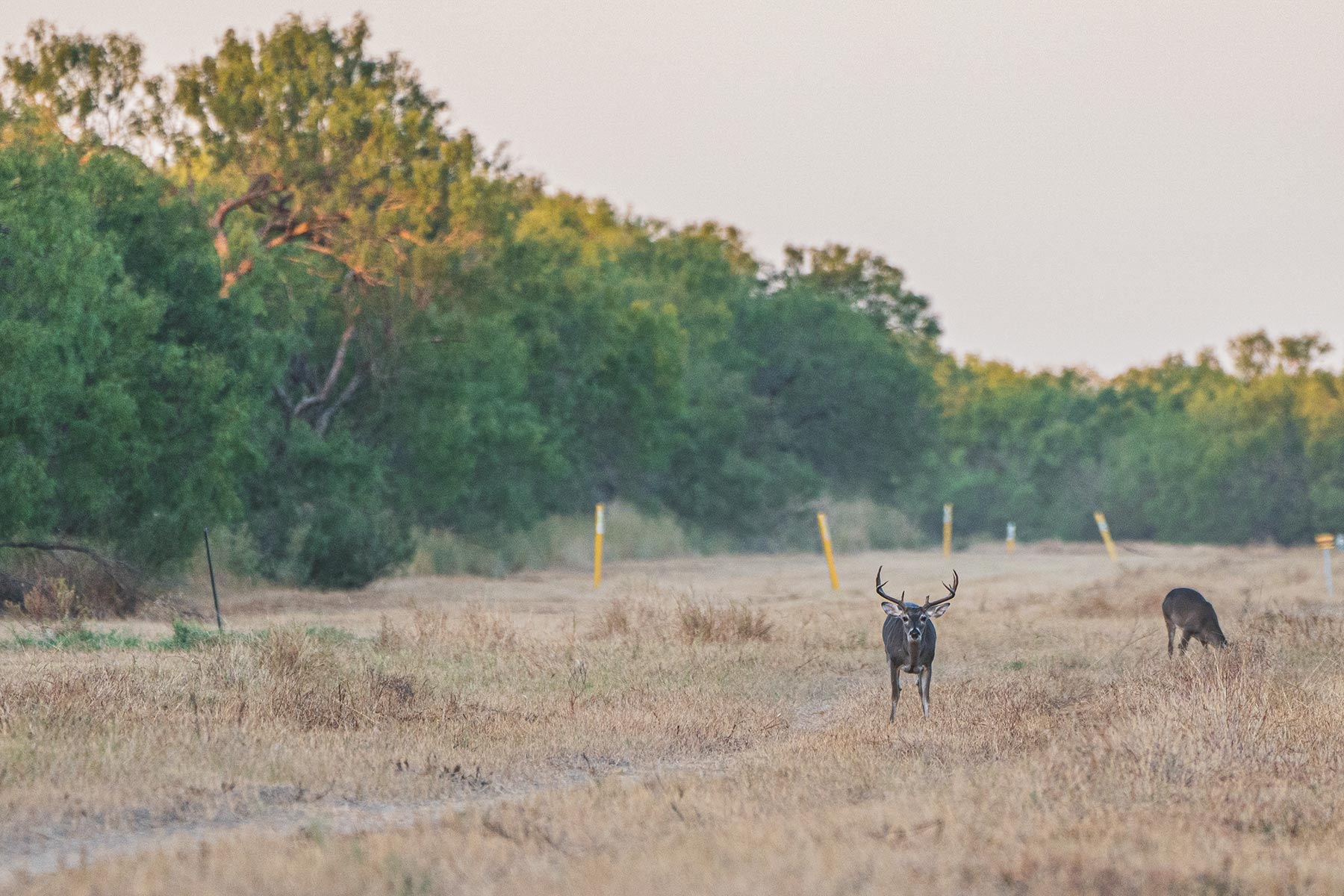 Crawford Farm property picture 63 of 72