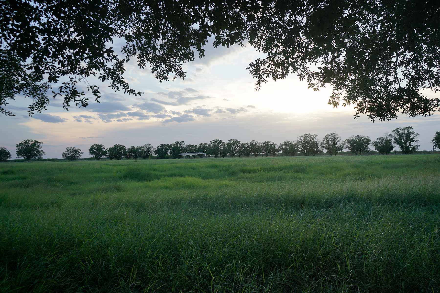 Crawford Farm property picture 71 of 72