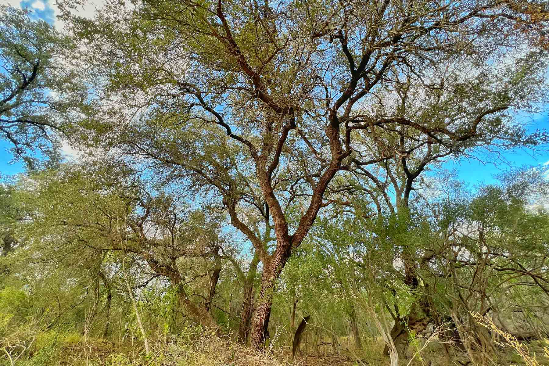 Crawford Farm property picture 19 of 72