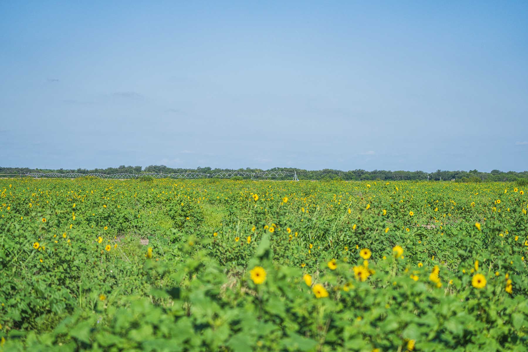 Crawford Farm property picture 48 of 72