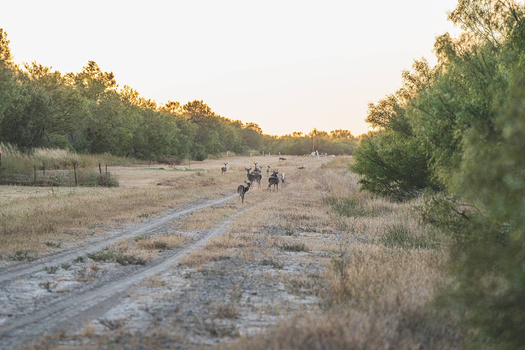 Crawford Farm property picture 64 of 72
