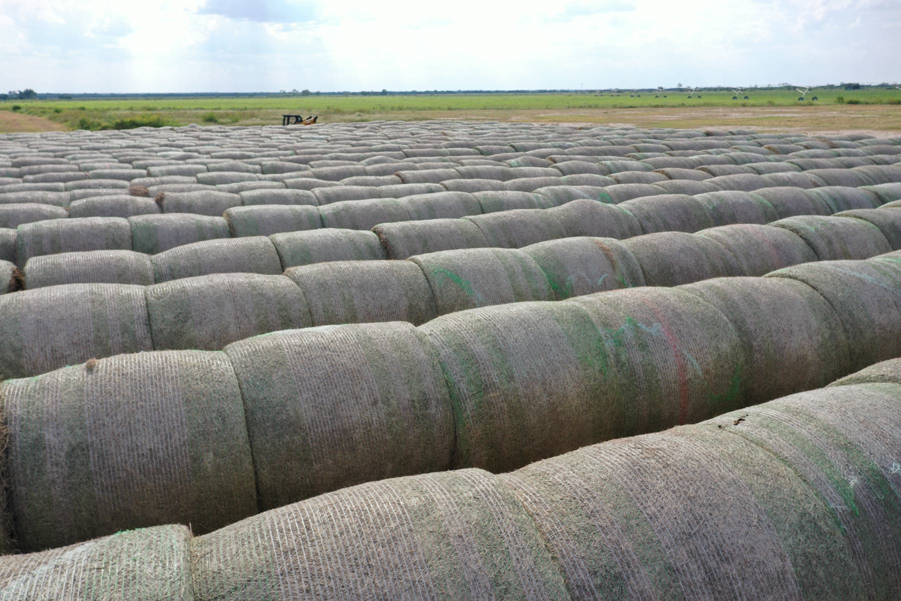 Crawford Farm property picture 4 of 72