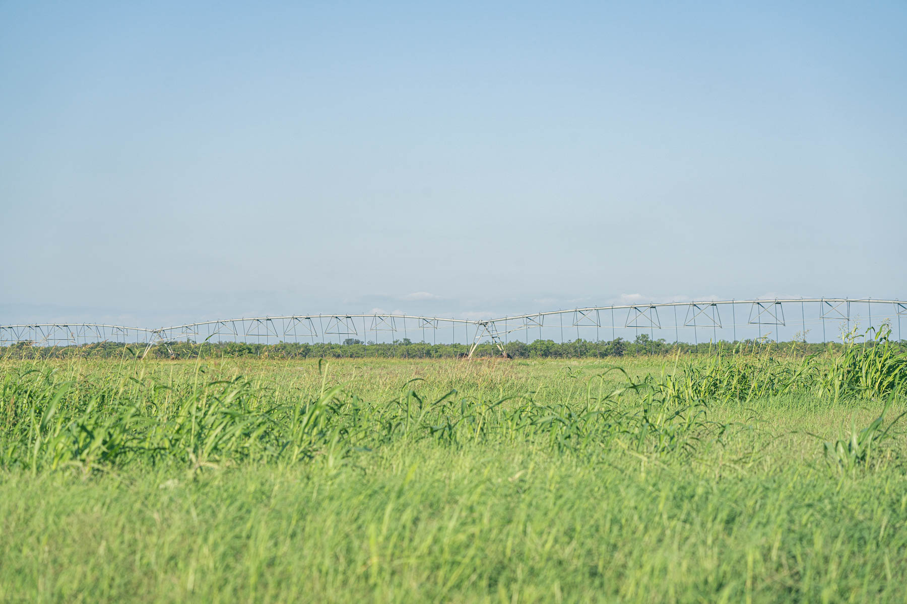 Crawford Farm property picture 52 of 72