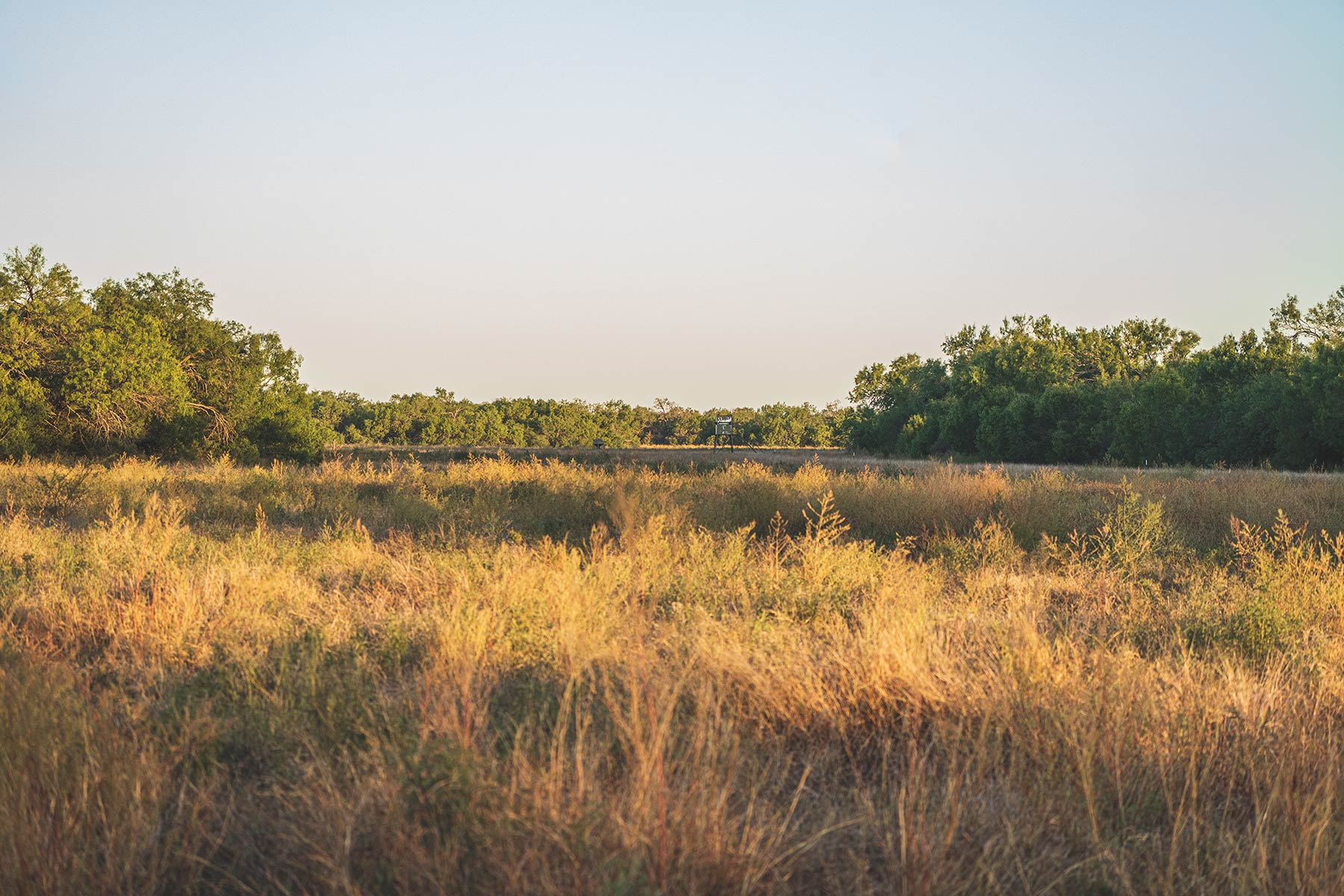 Crawford Farm property picture 62 of 72