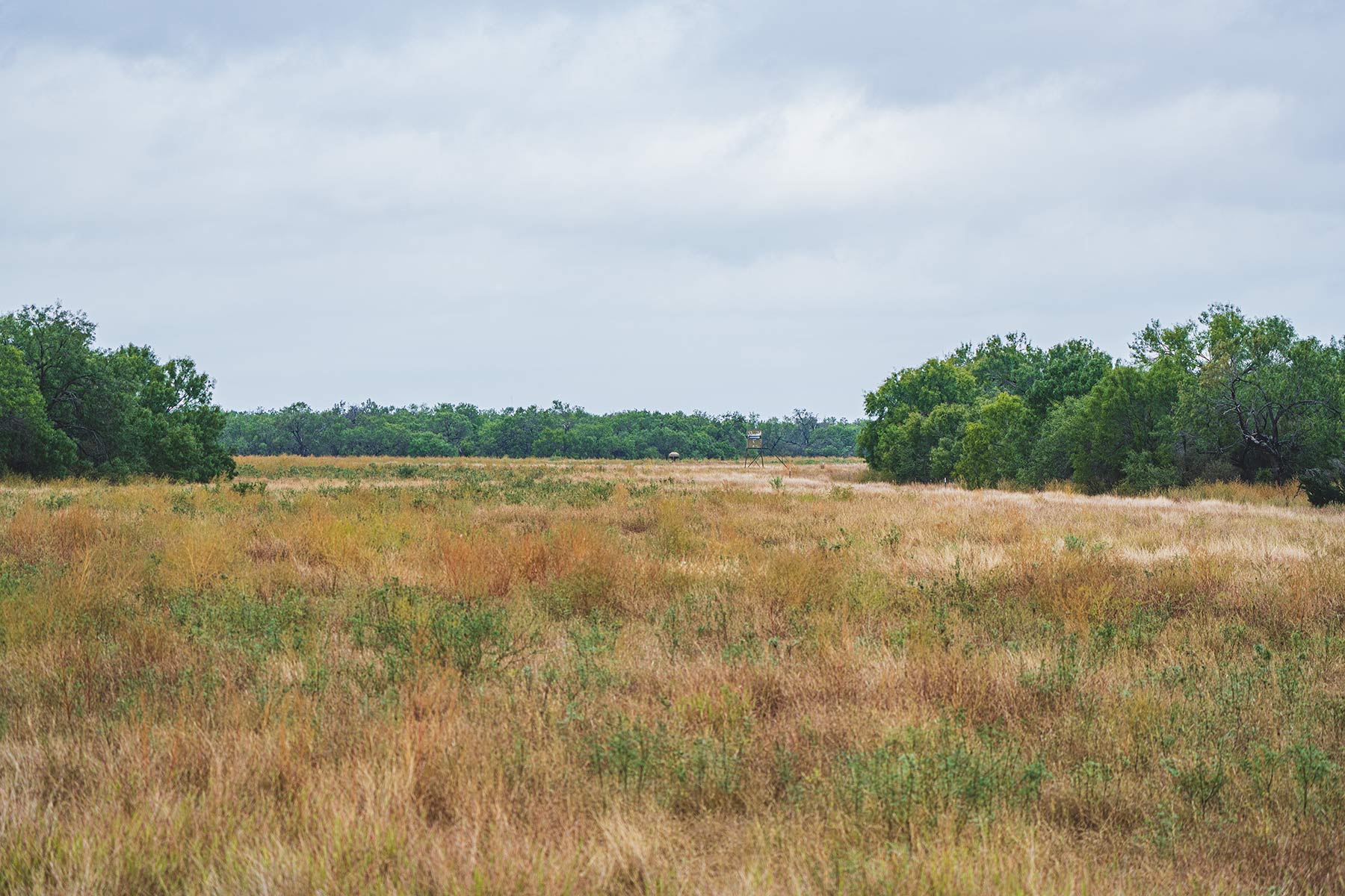 Crawford Farm property picture 61 of 72