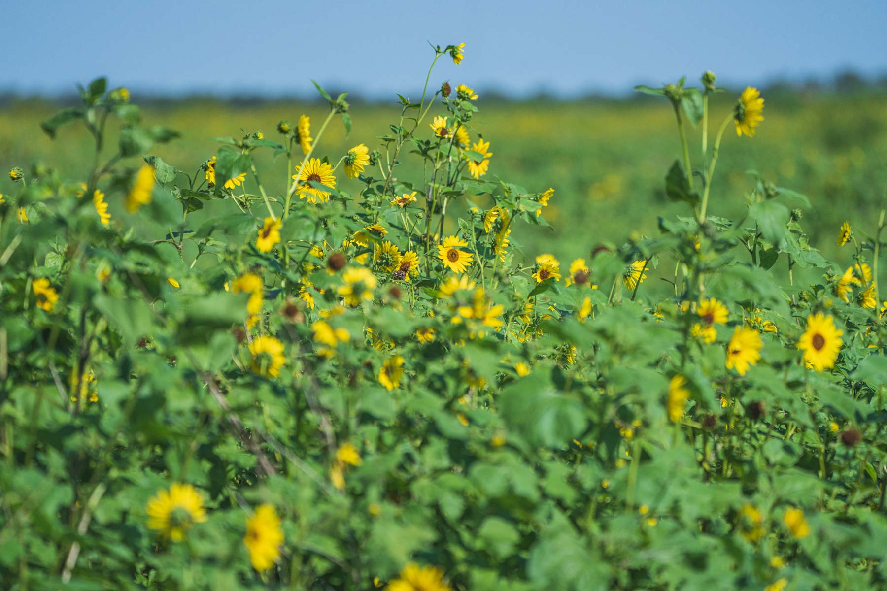 Crawford Farm property picture 47 of 72