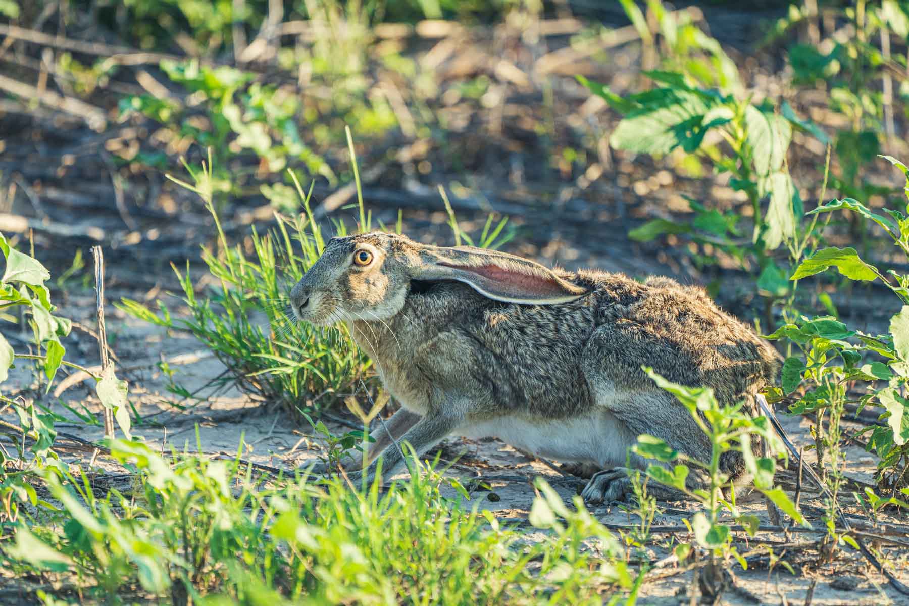 Crawford Farm property picture 56 of 72