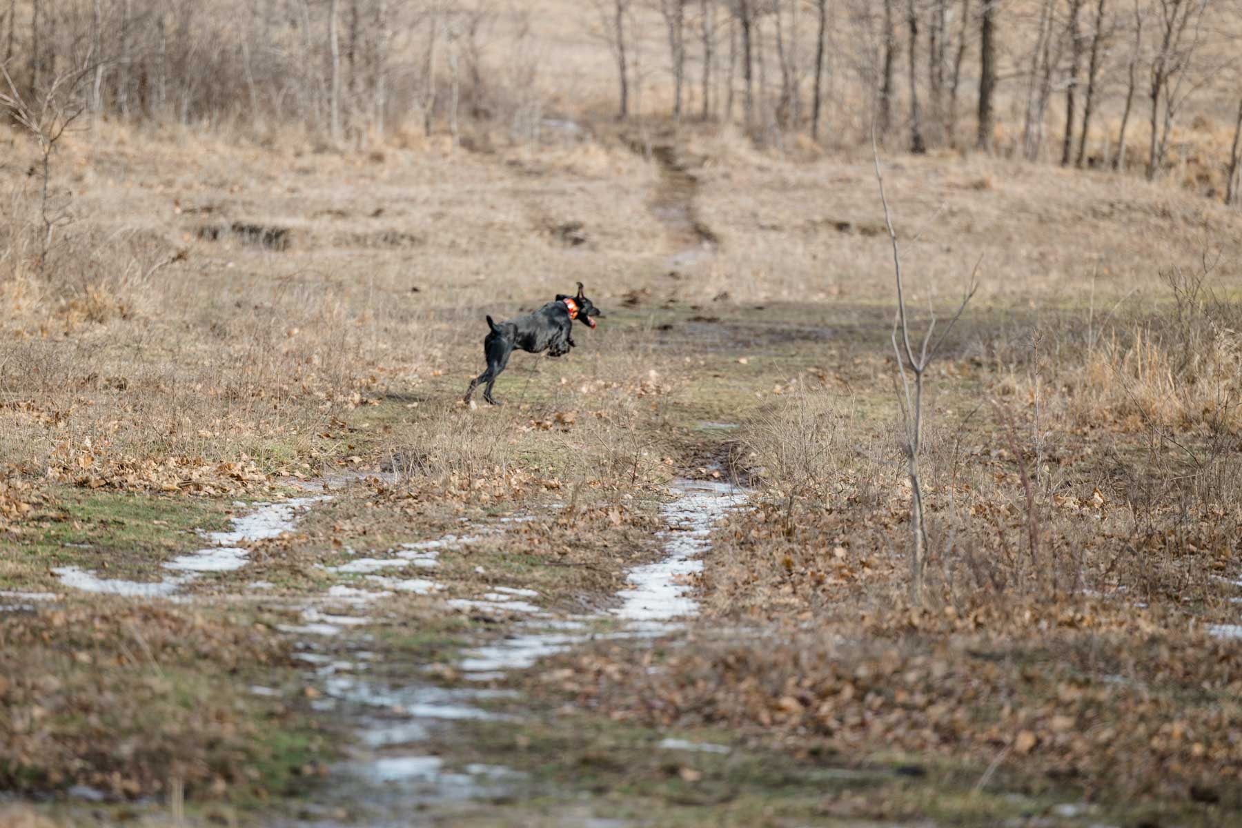 School Valley Ranch property picture 43 of 123
