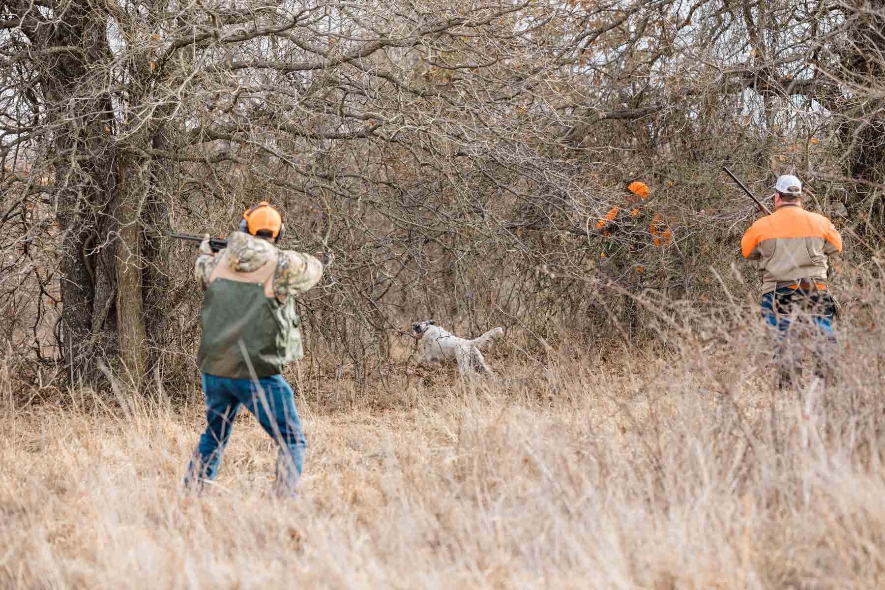 School Valley Ranch property picture 45 of 123