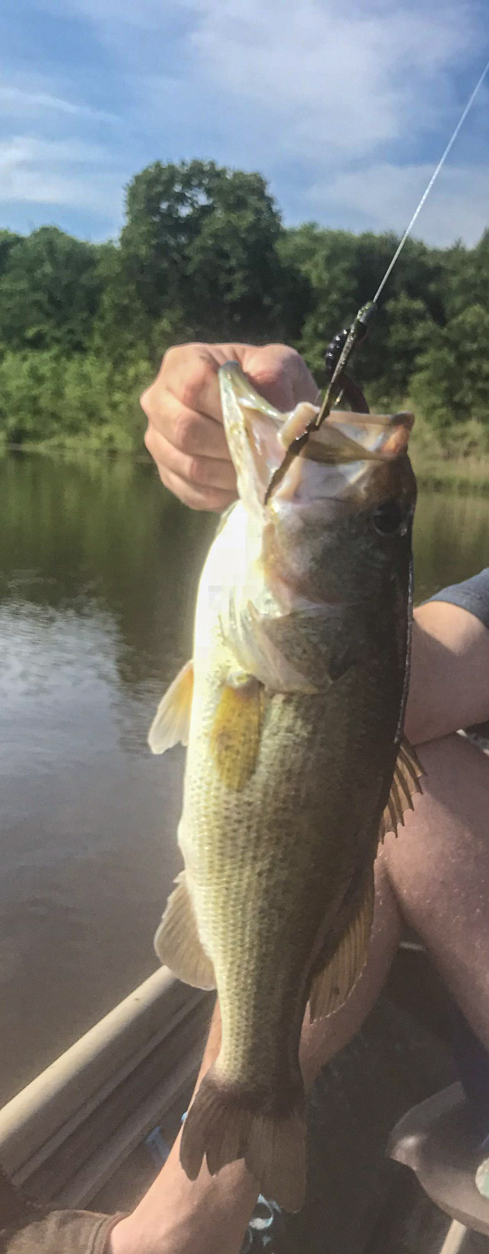 School Valley Ranch property picture 29 of 123