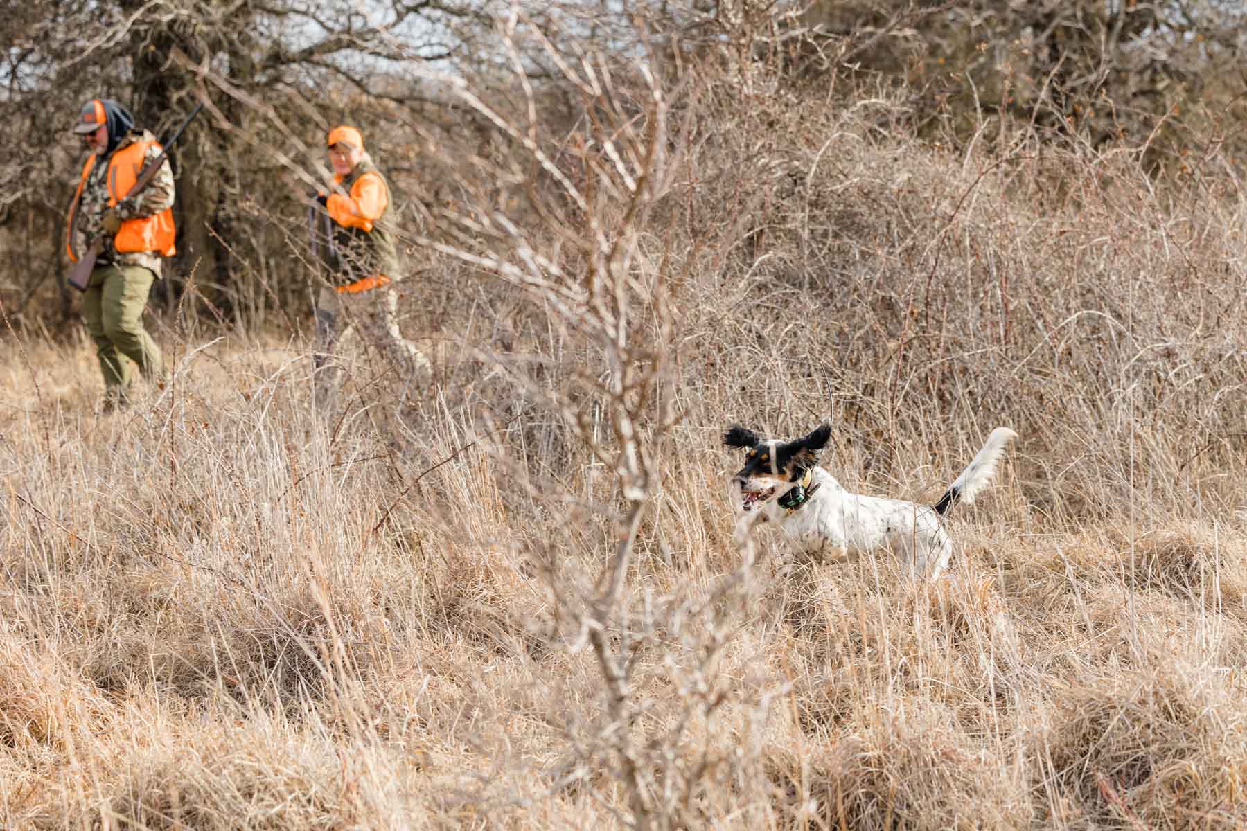 School Valley Ranch property picture 44 of 123