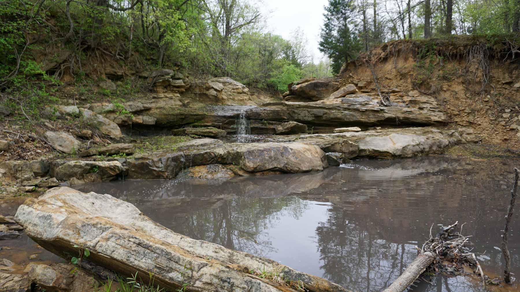 School Valley Ranch property picture 38 of 123