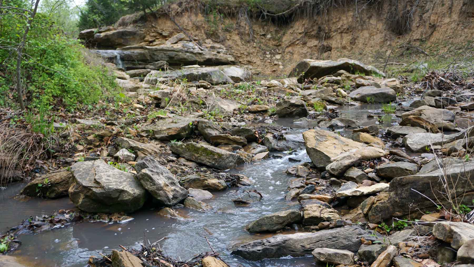 School Valley Ranch property picture 36 of 123