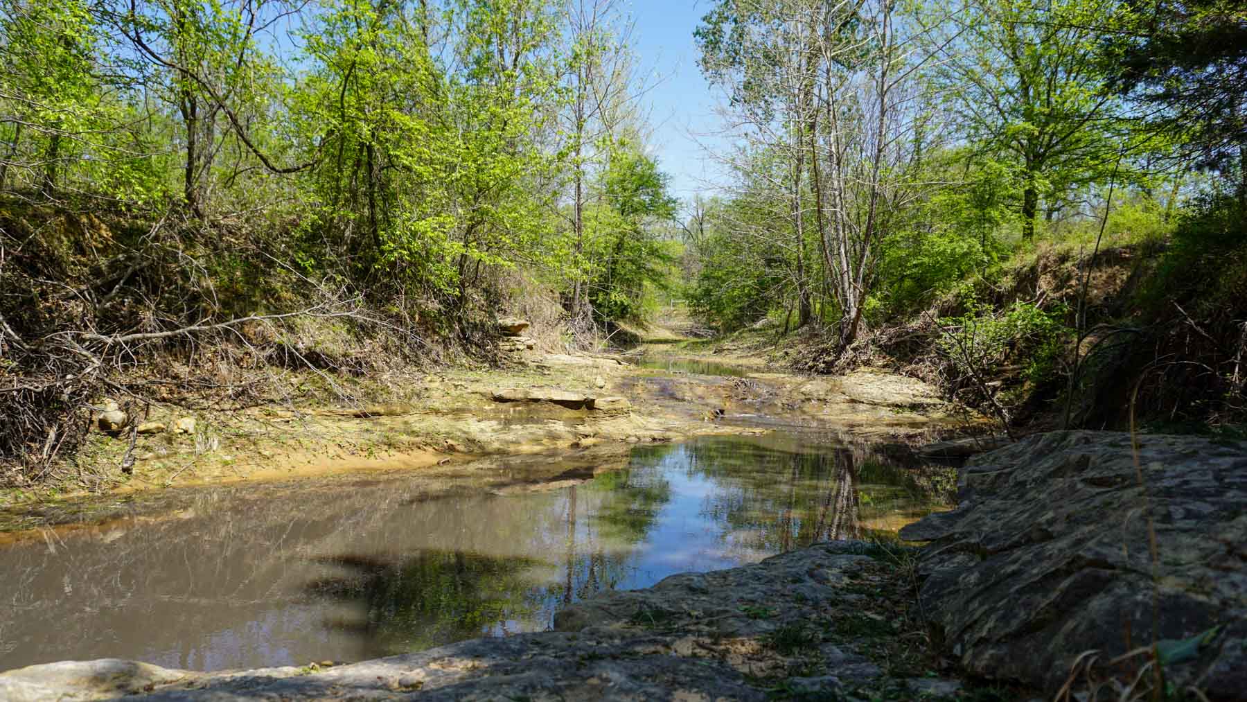 School Valley Ranch property picture 8 of 123