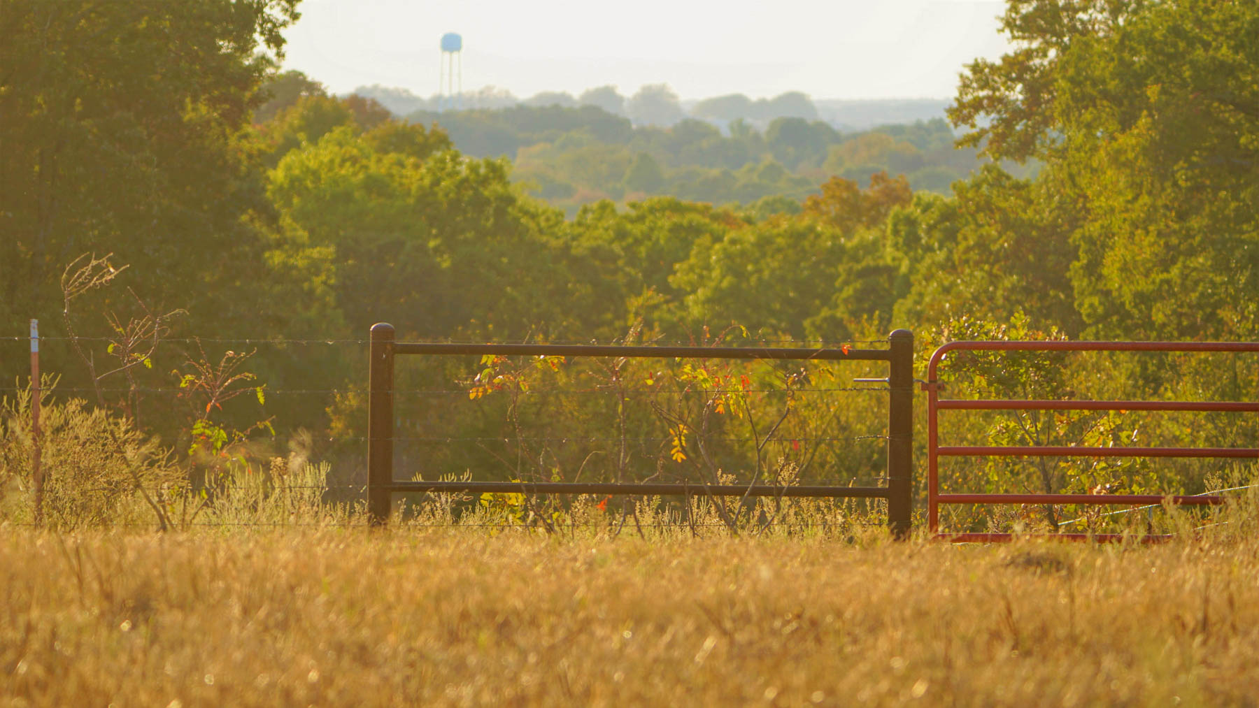 School Valley Ranch property picture 78 of 123
