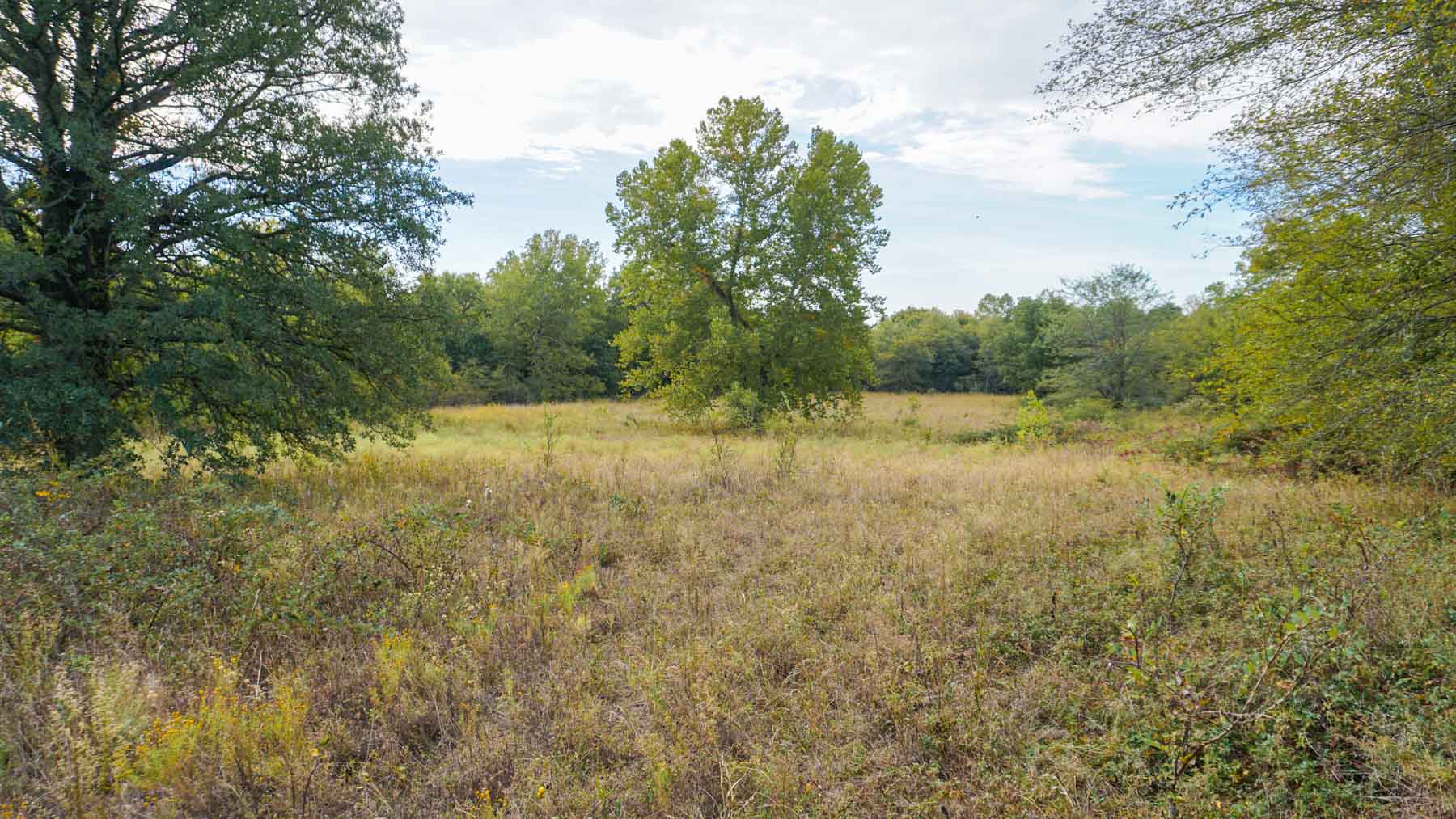 School Valley Ranch property picture 110 of 123