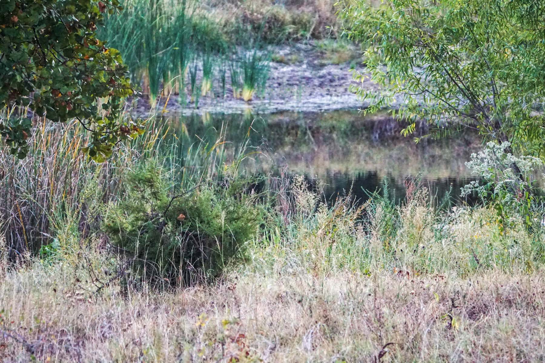 School Valley Ranch property picture 60 of 123