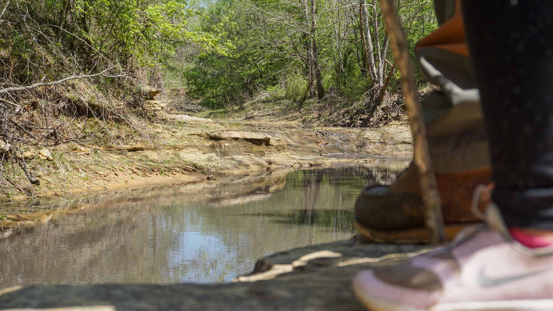 School Valley Ranch property picture 7 of 123