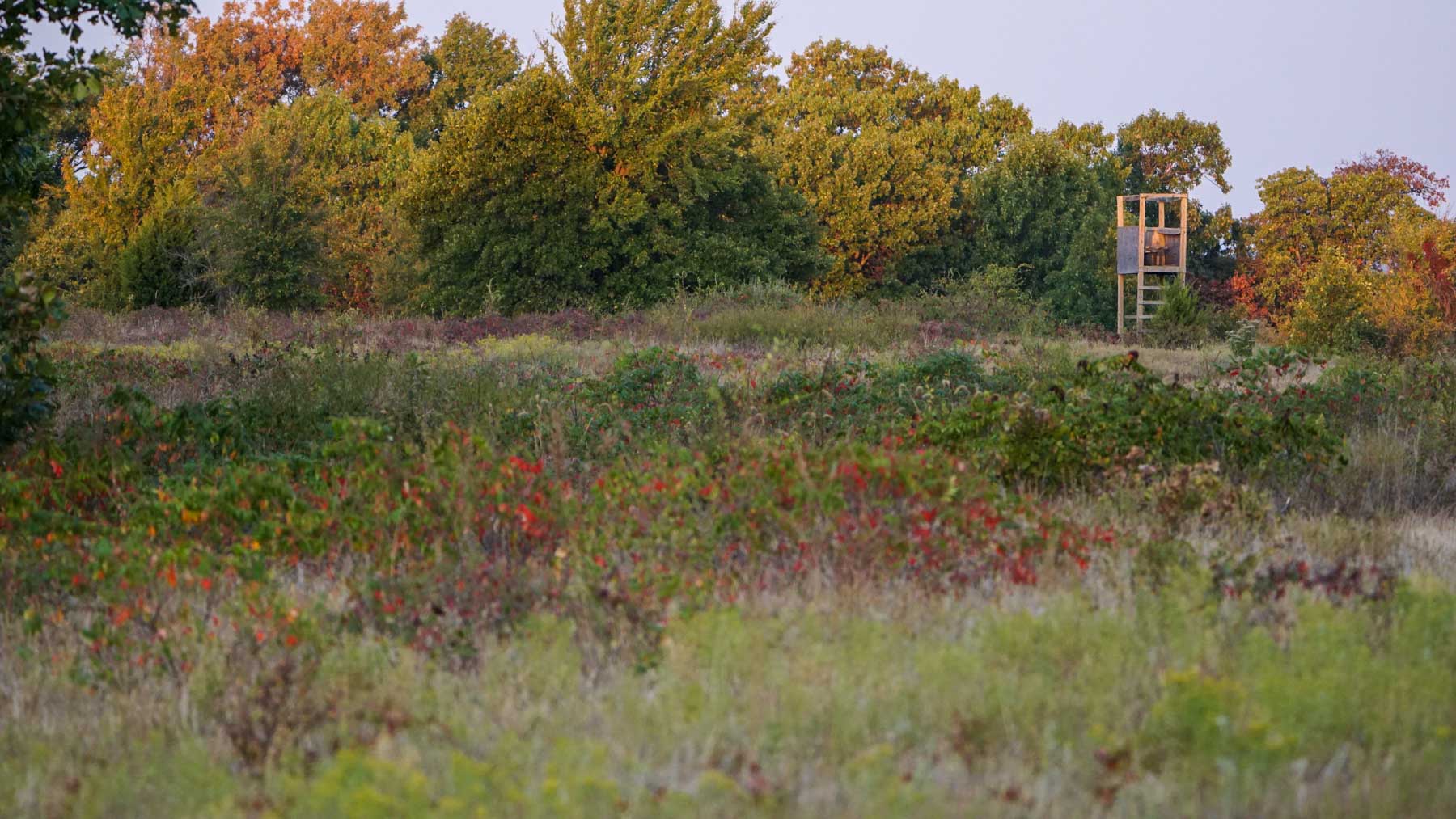 School Valley Ranch property picture 98 of 123