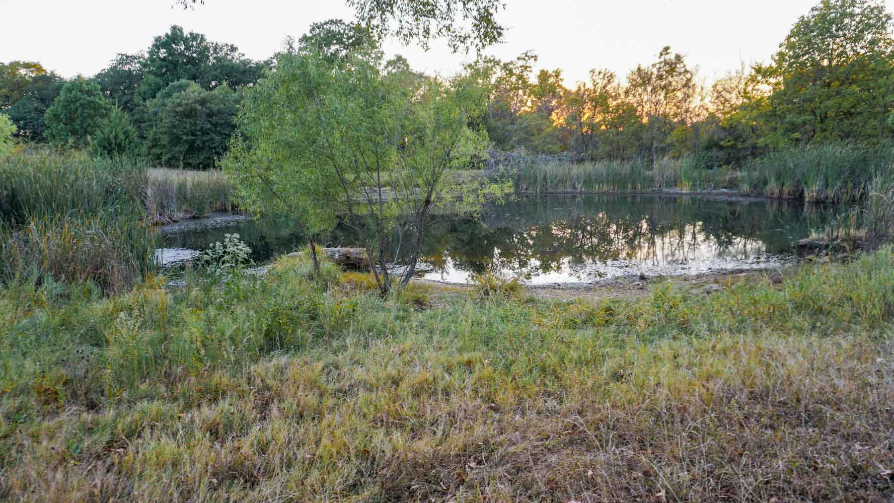 School Valley Ranch property picture 57 of 123