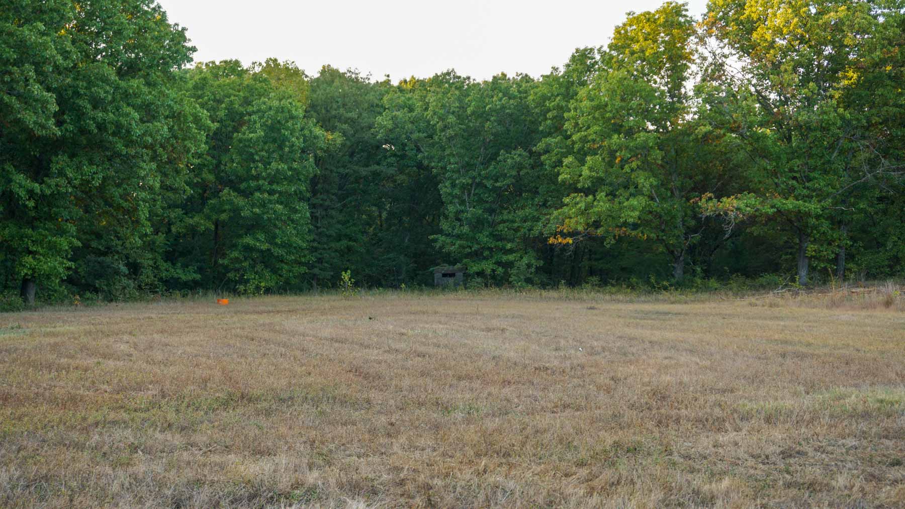 School Valley Ranch property picture 89 of 123