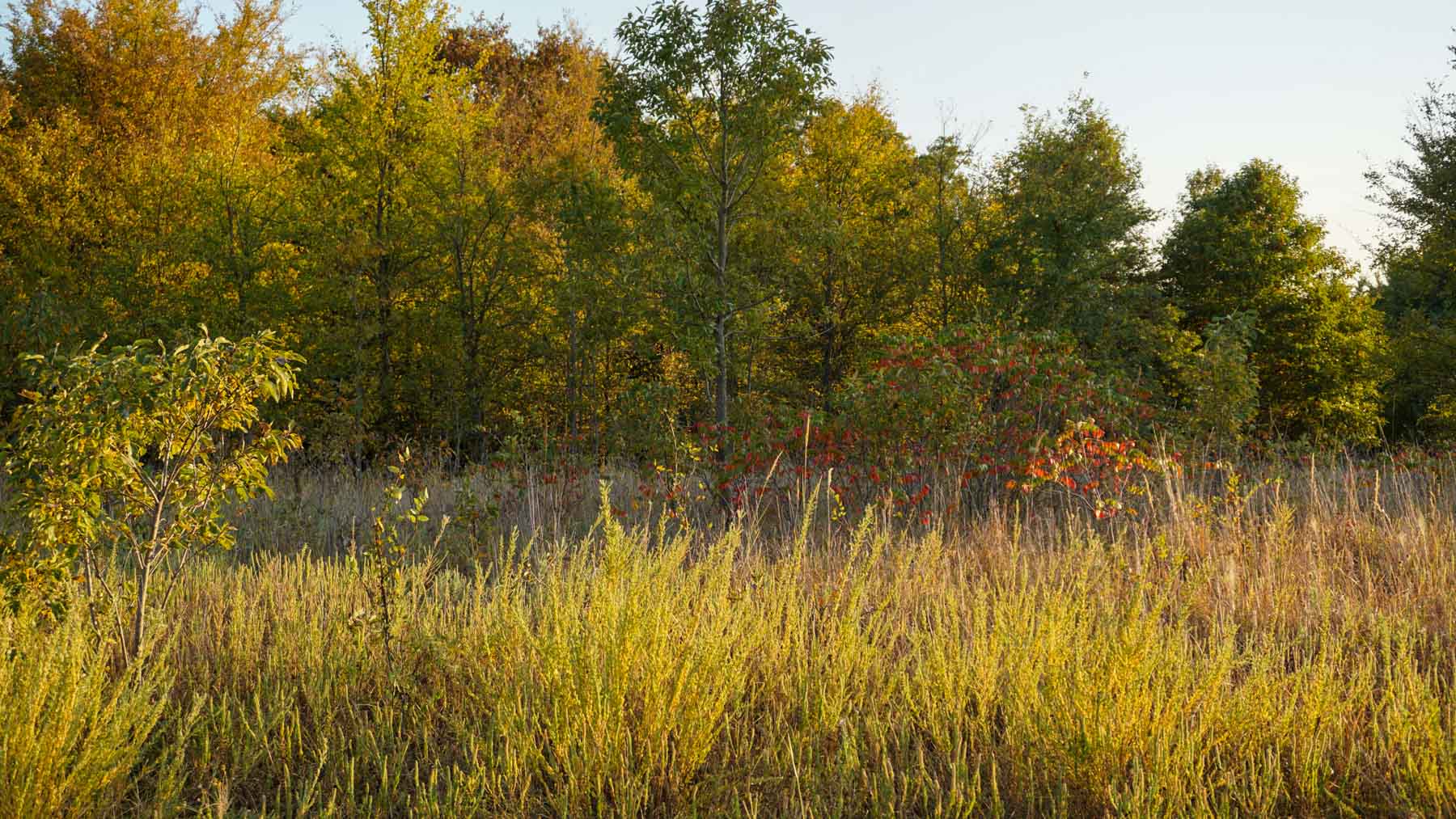 School Valley Ranch property picture 79 of 123