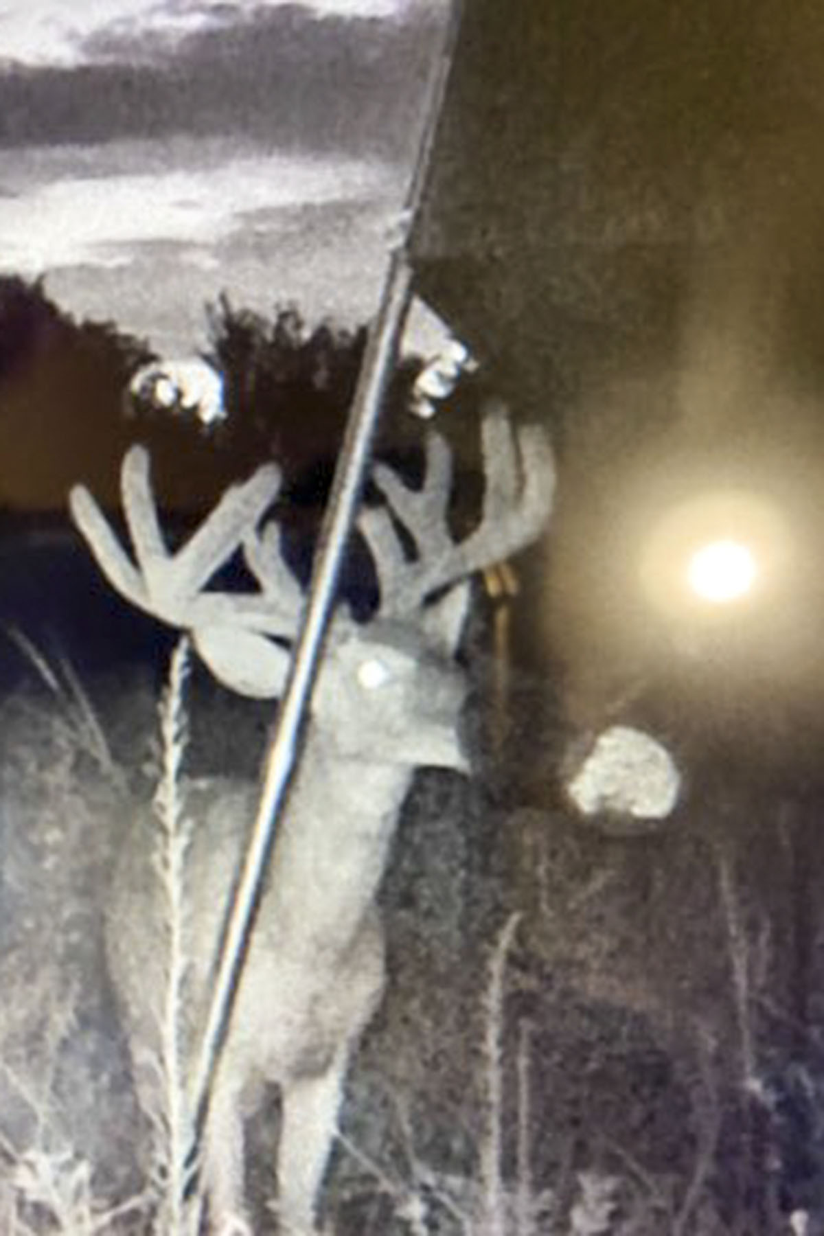 School Valley Ranch property picture 18 of 123