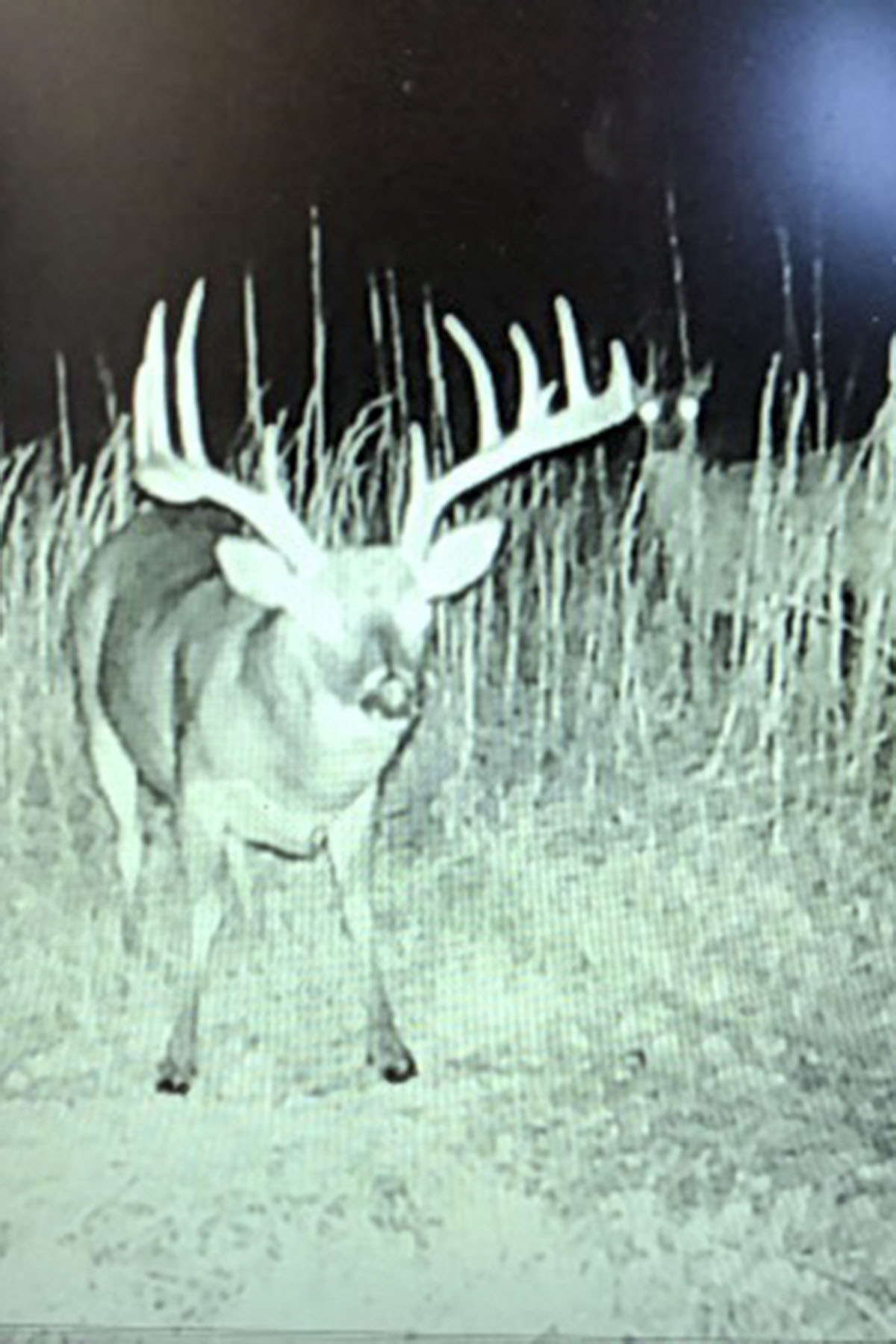 School Valley Ranch property picture 59 of 123