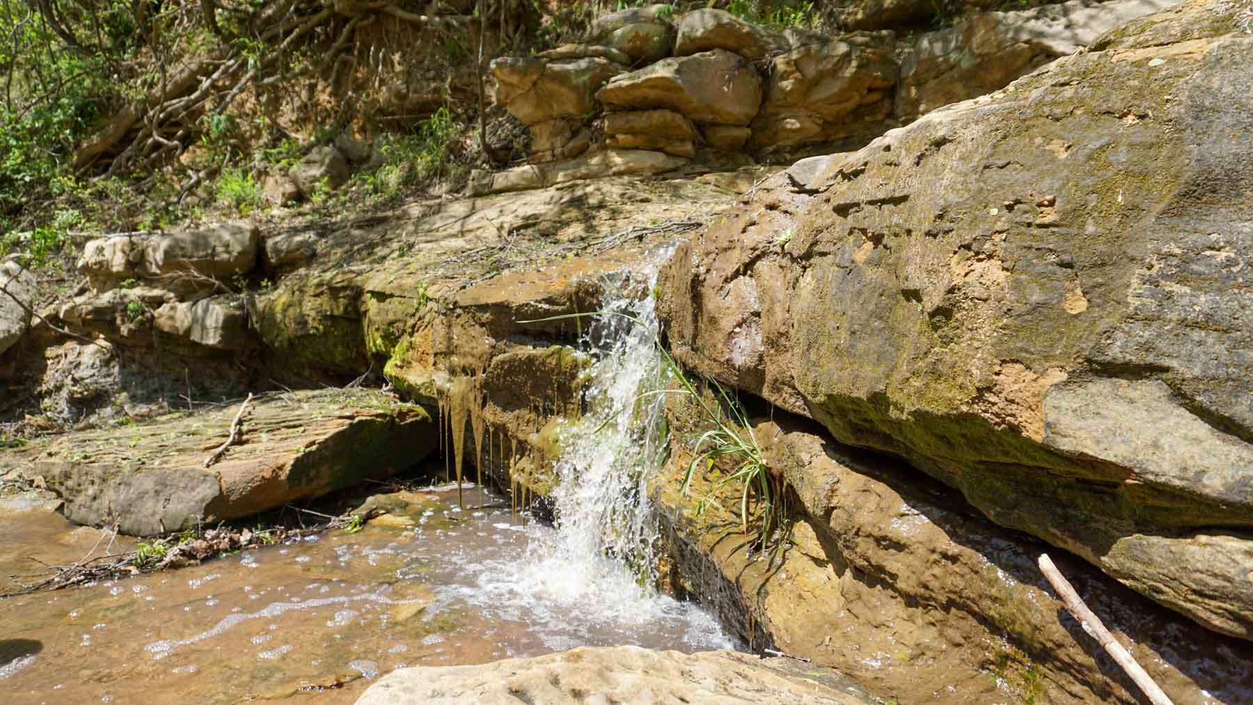 School Valley Ranch property picture 2 of 123