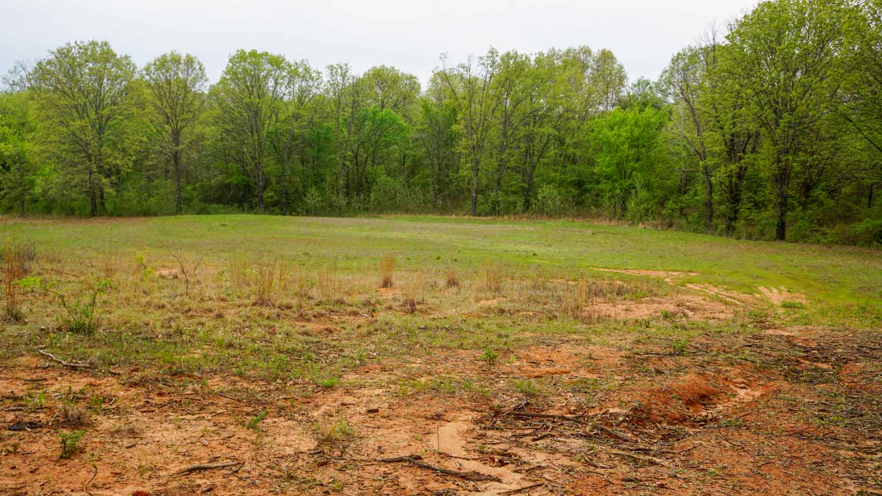 School Valley Ranch property picture 42 of 123