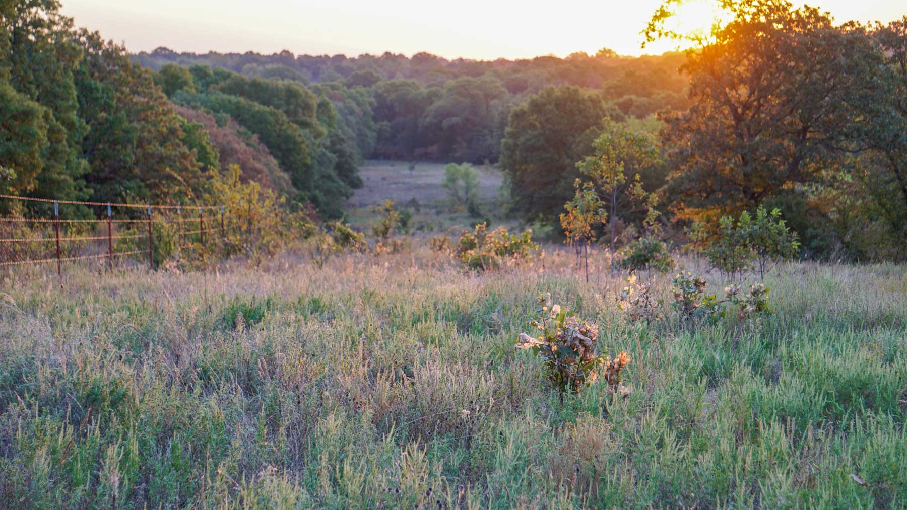 School Valley Ranch property picture 97 of 123